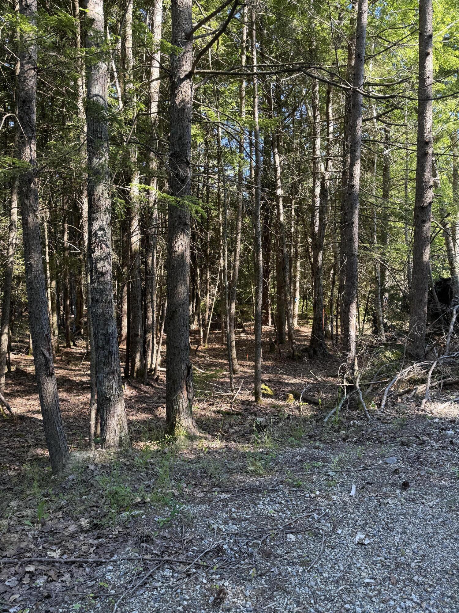 Lot # 23 Wilderness Drive Property Photo 3