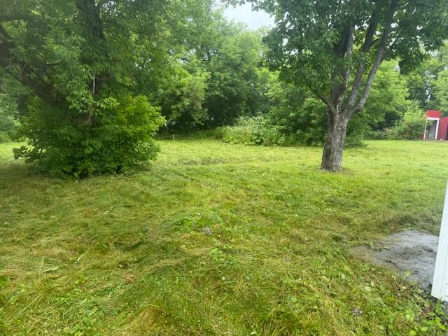 74 Hines Street Property Photo 24