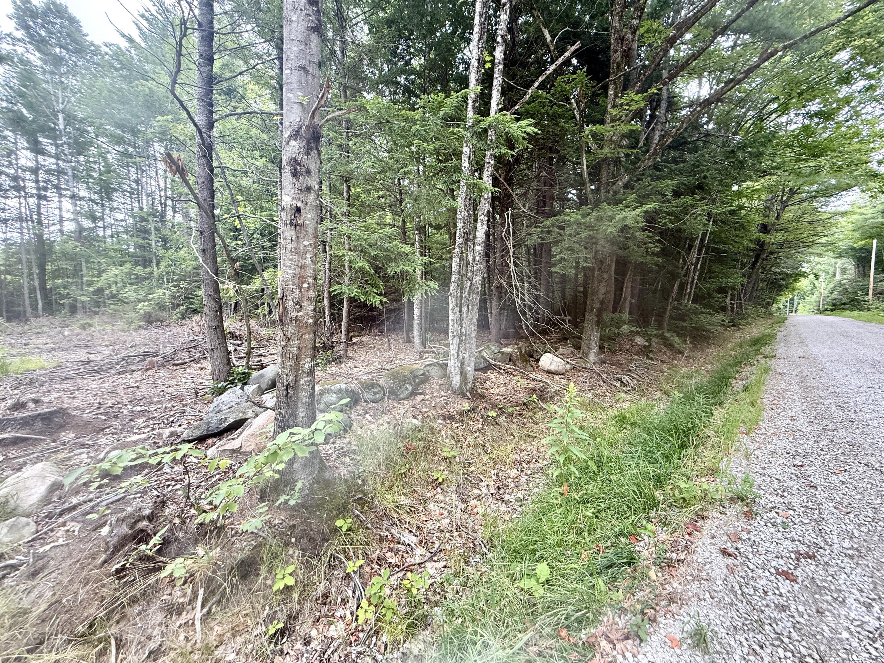 M5 L15-a Tibbetts Road Property Photo 5