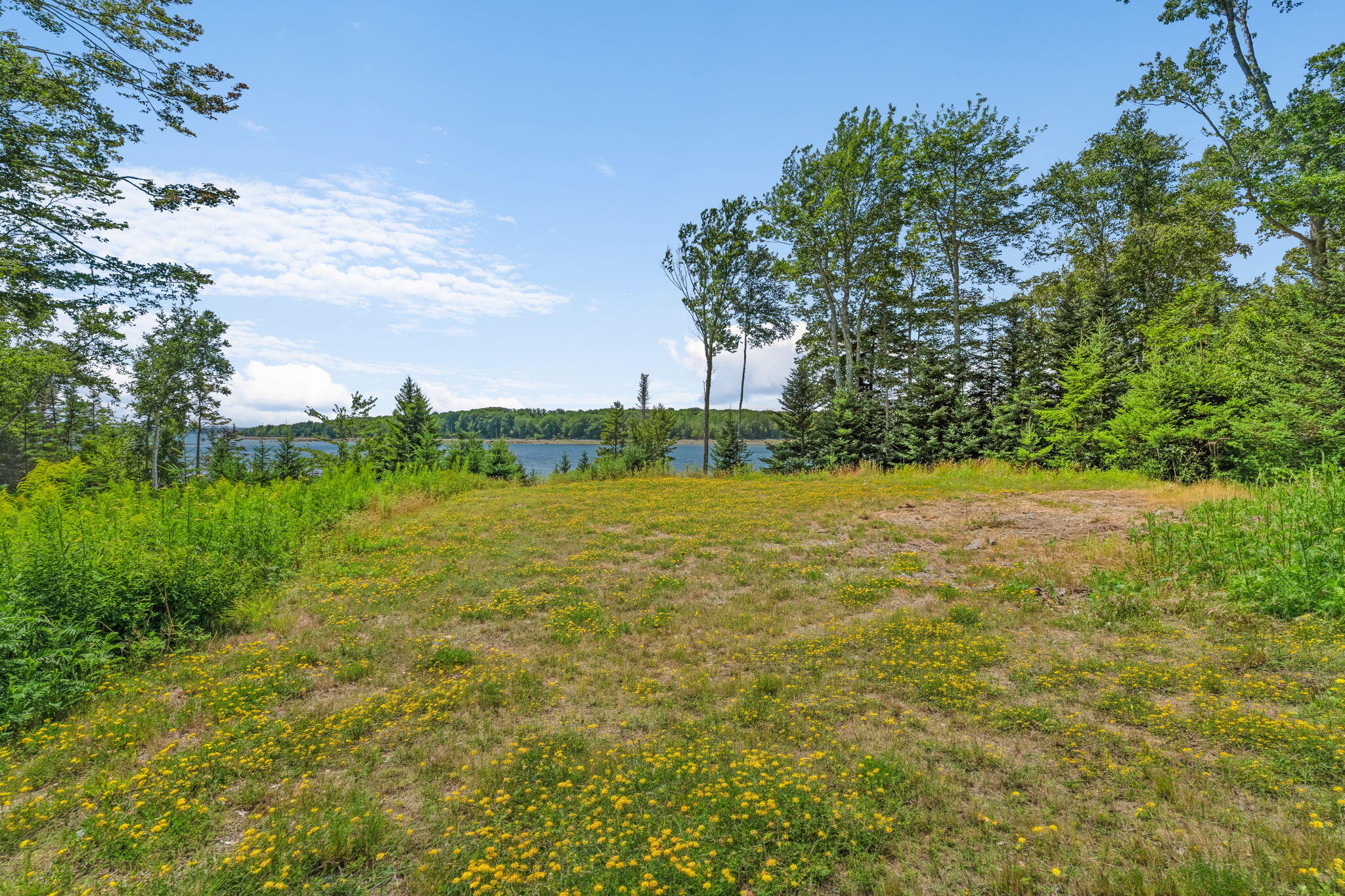 60 Moose Run Property Photo 21