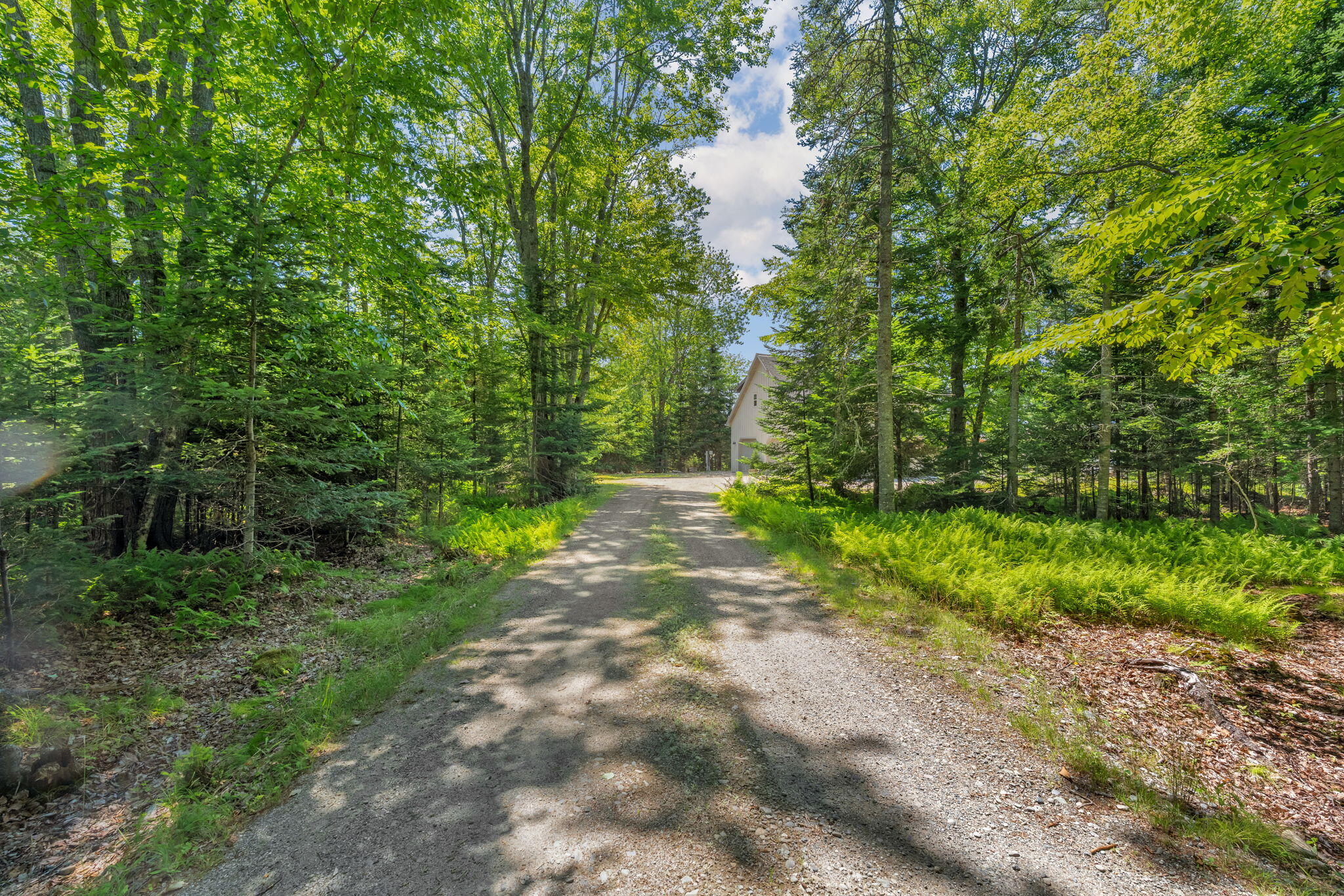 60 Moose Run Property Photo 25