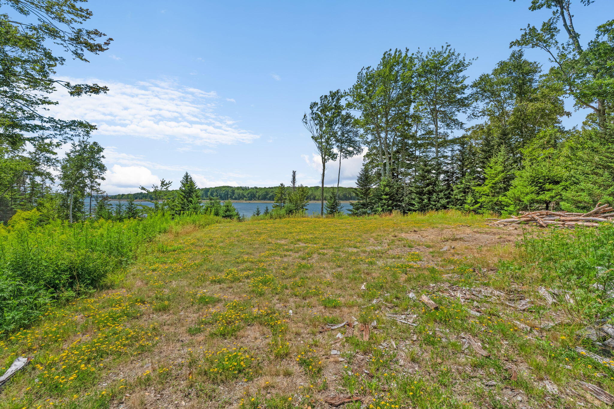 60 Moose Run Property Photo 38