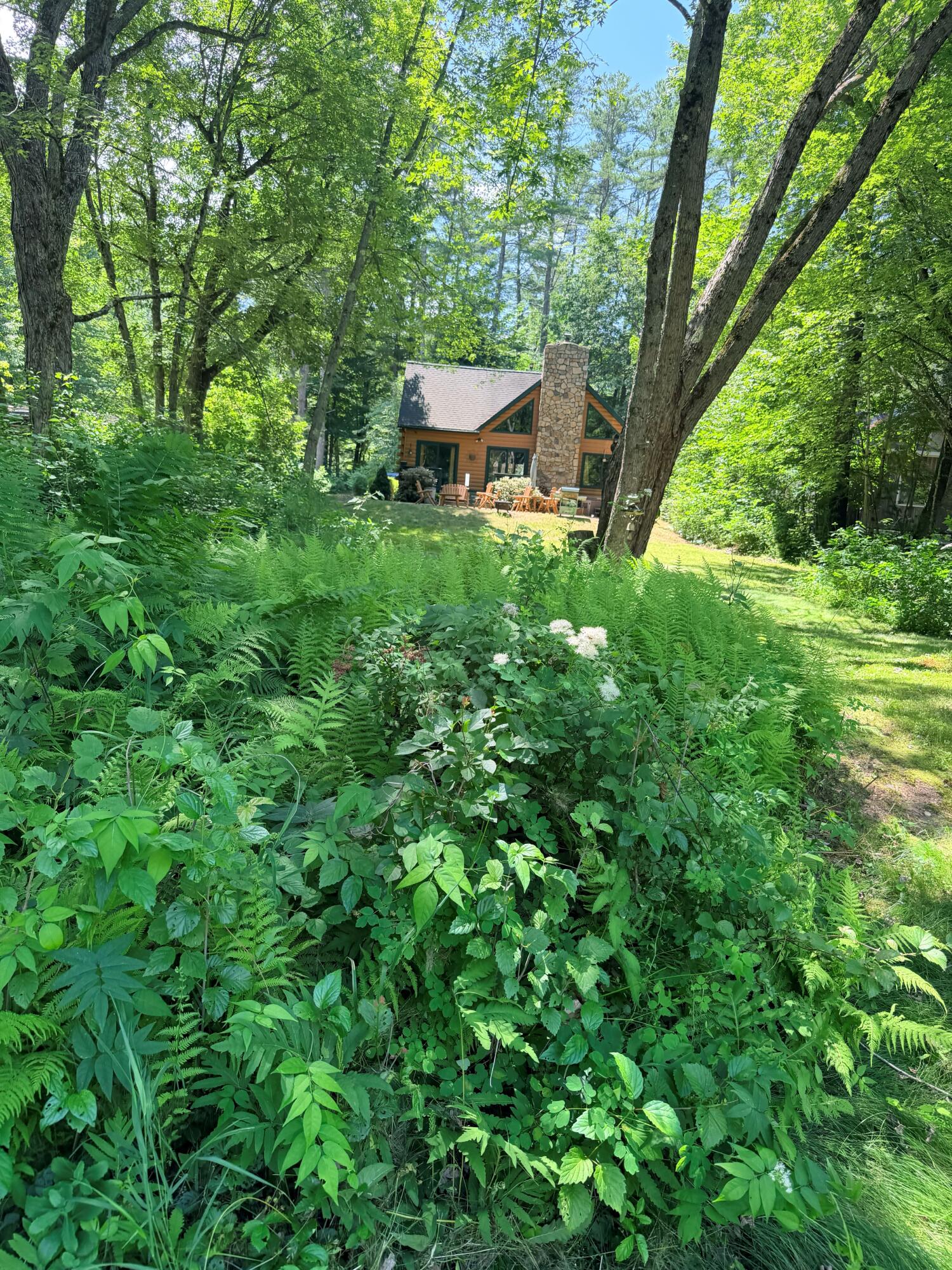 31 Welch Drive Property Photo 57