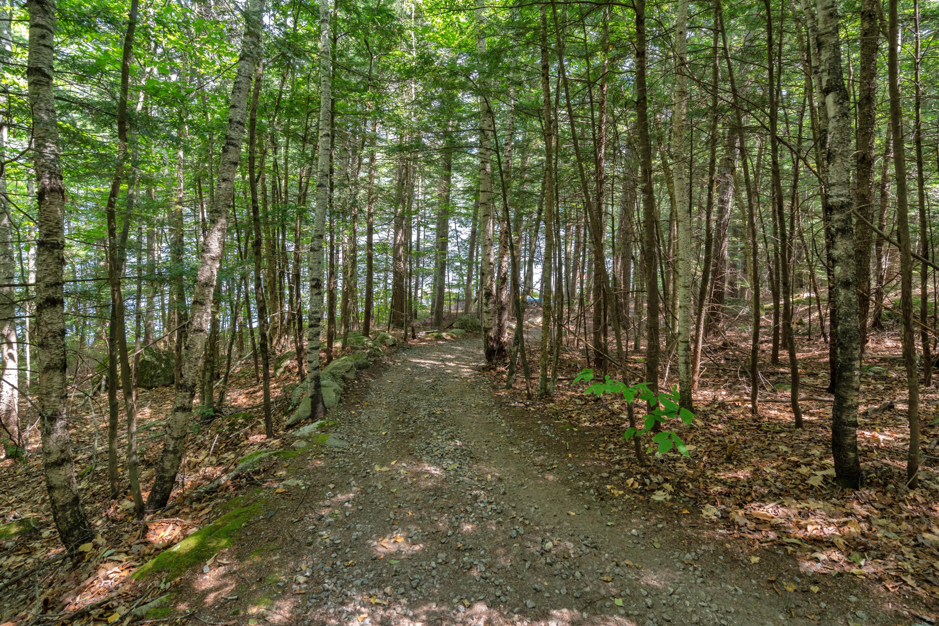 258 Bear Pond Road Property Photo 80