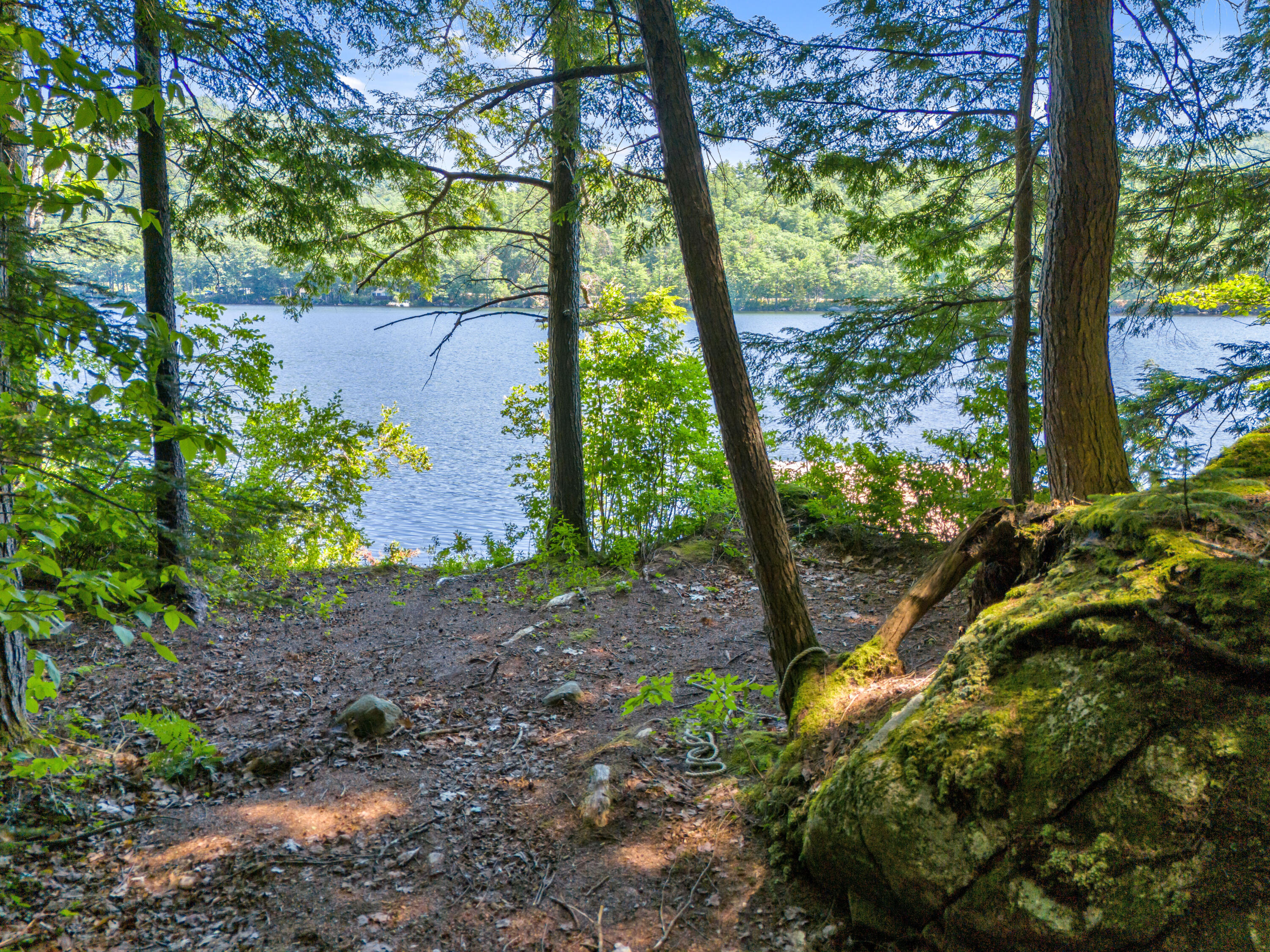 258 Bear Pond Road Property Photo 81