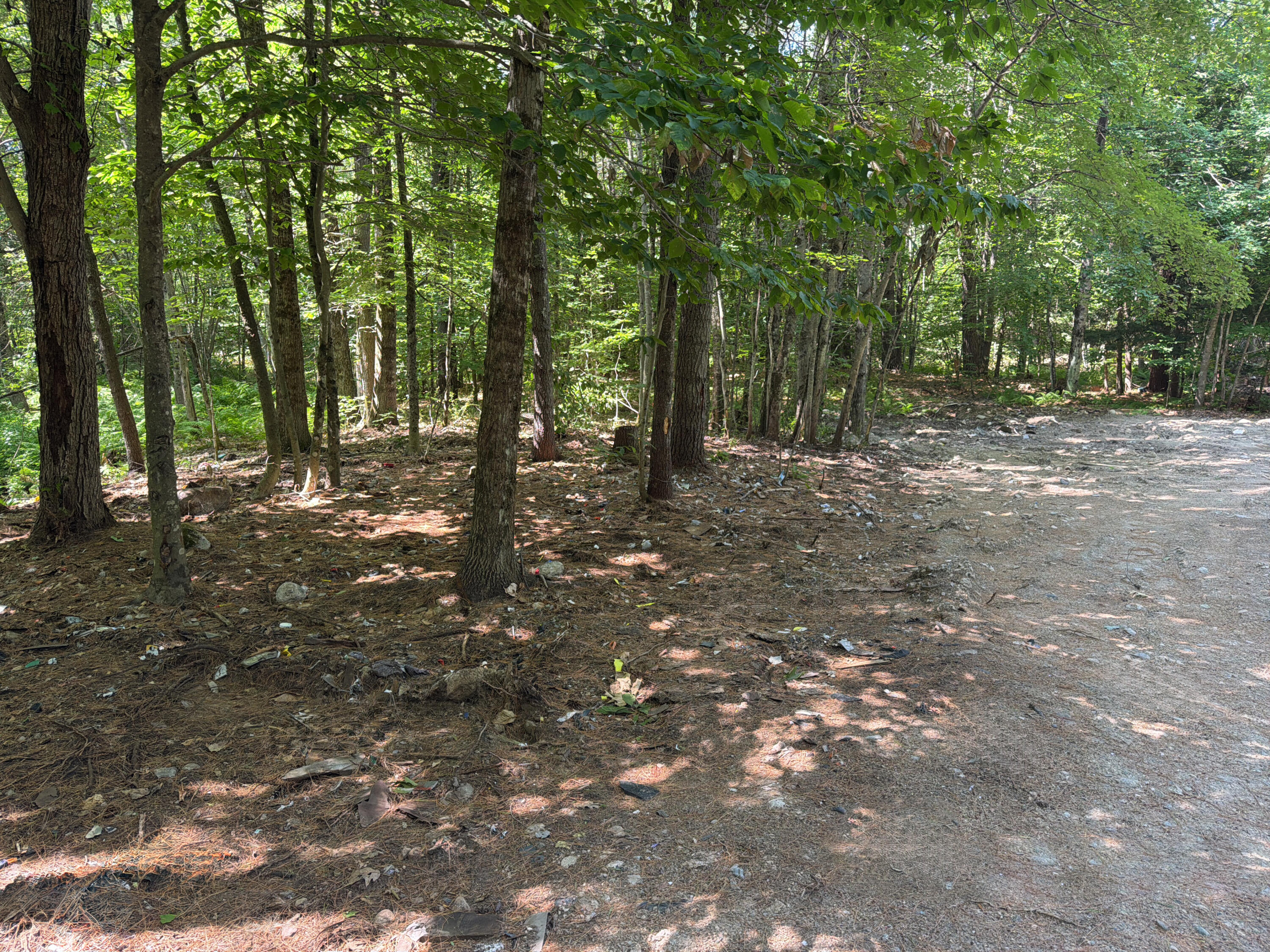 112 Douglas Hill Road Property Photo 4