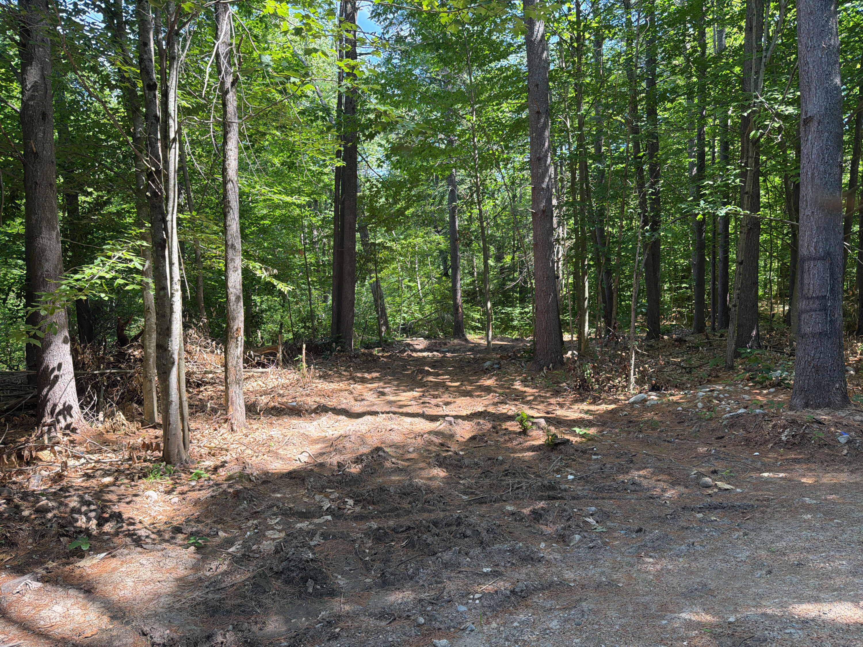 112 Douglas Hill Road Property Photo 5
