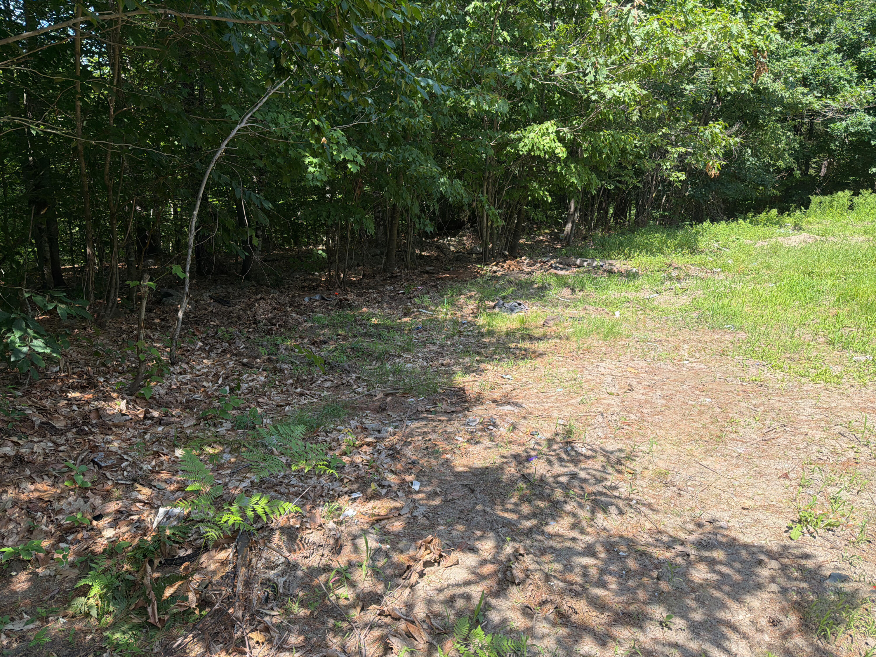 112 Douglas Hill Road Property Photo 6