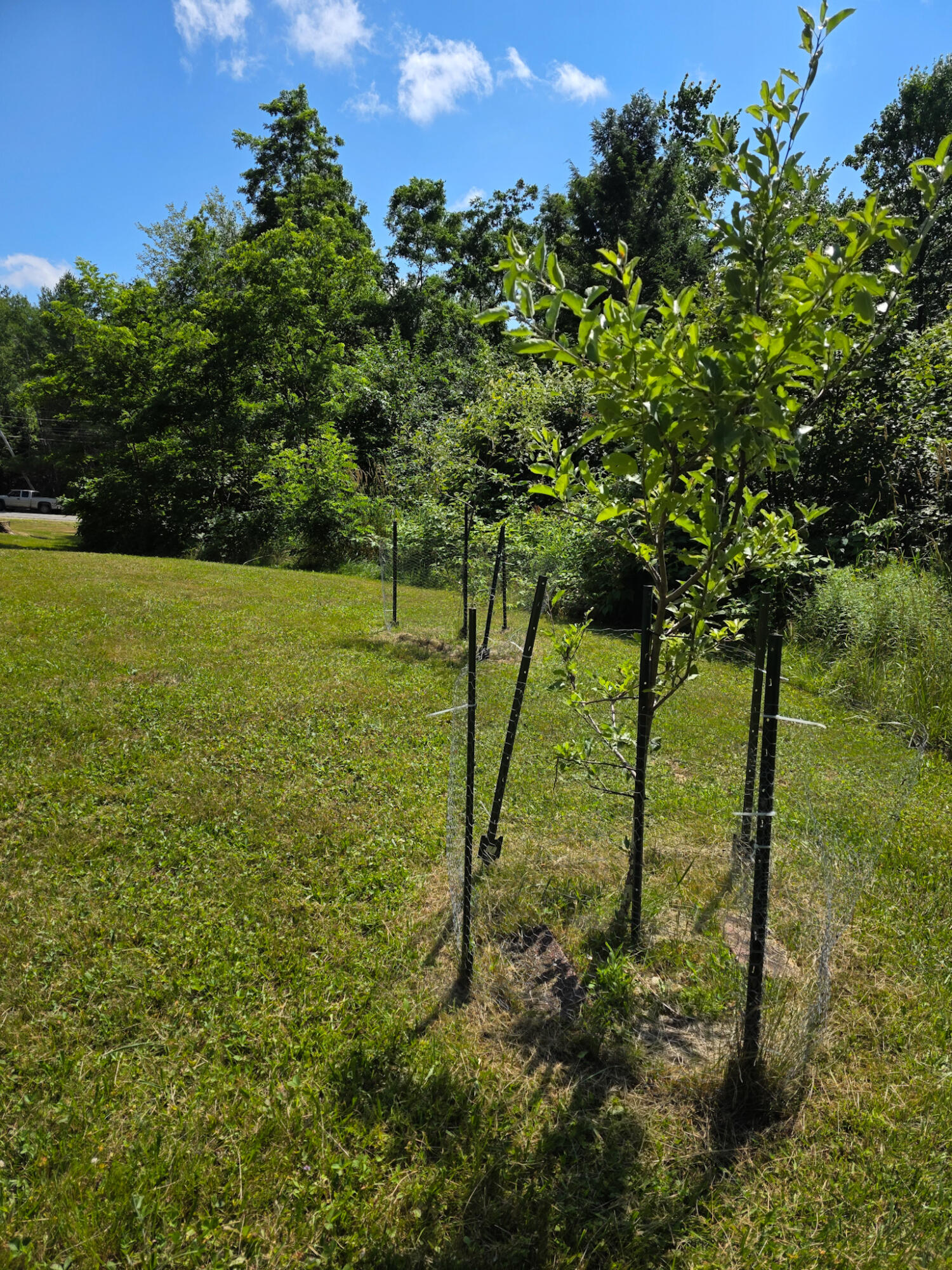 612 Main Road Property Photo 42