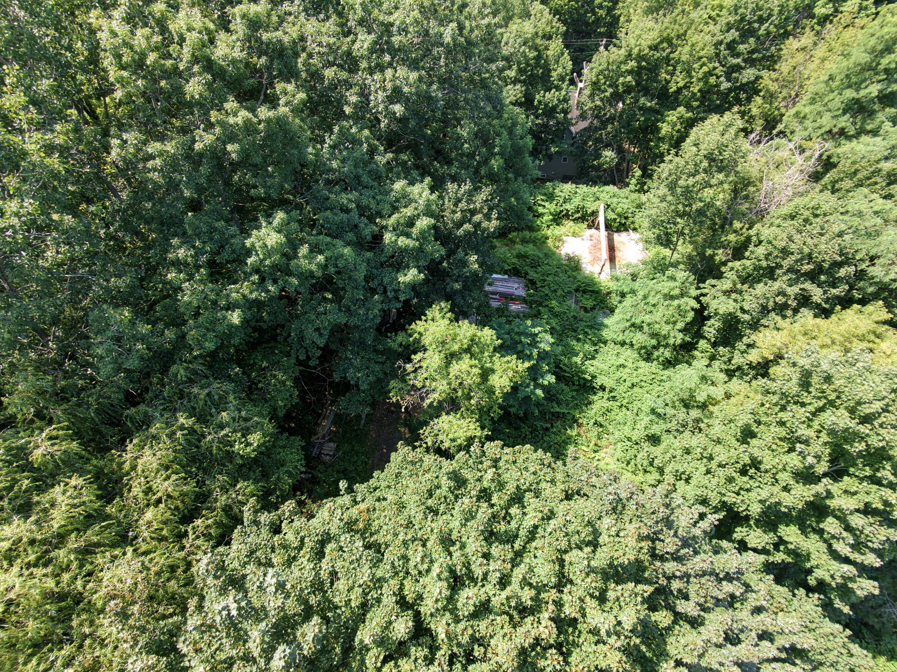 26 Birchwood Road Property Photo 5