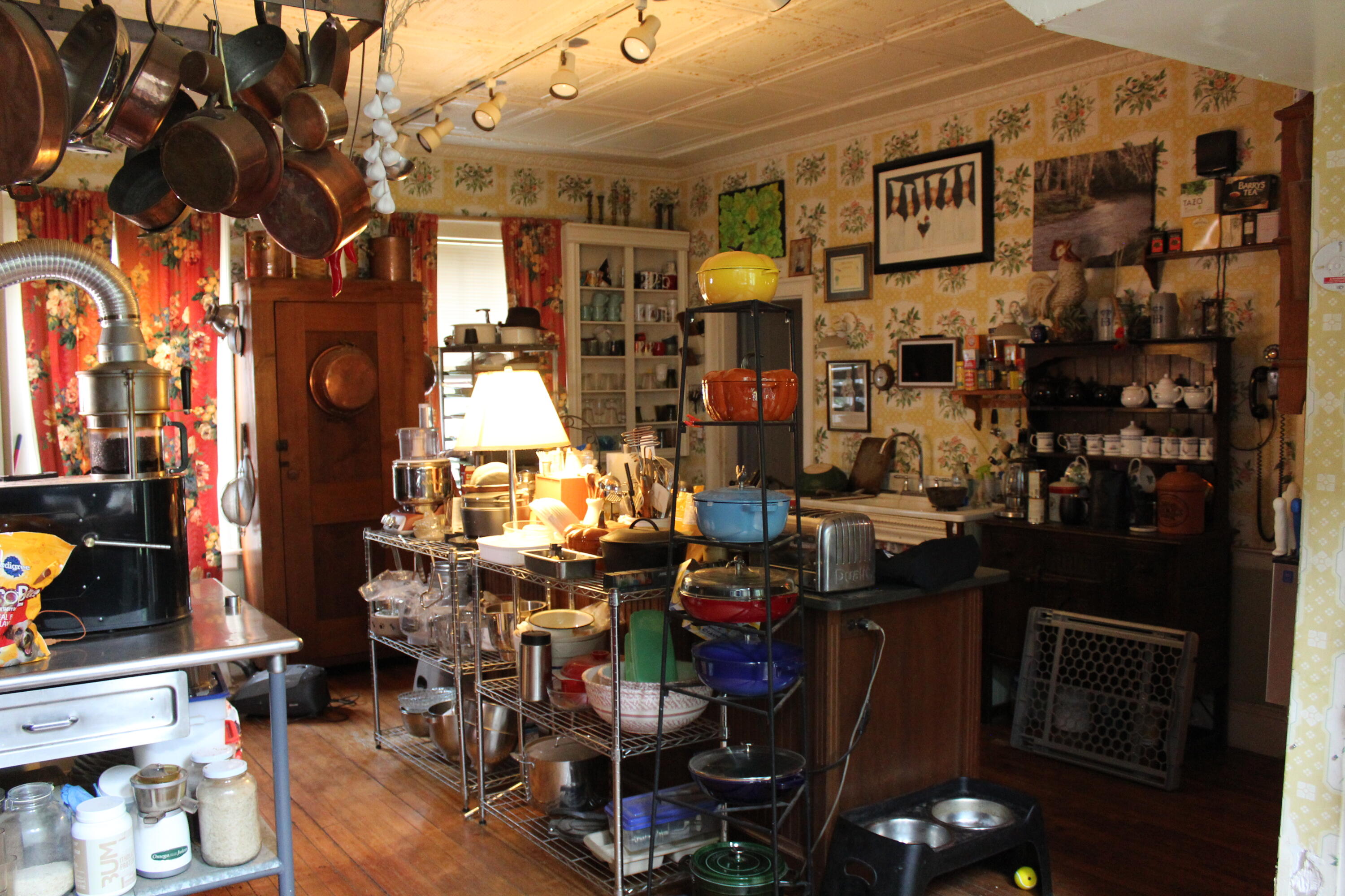 17 Boynton Street Property Photo 23