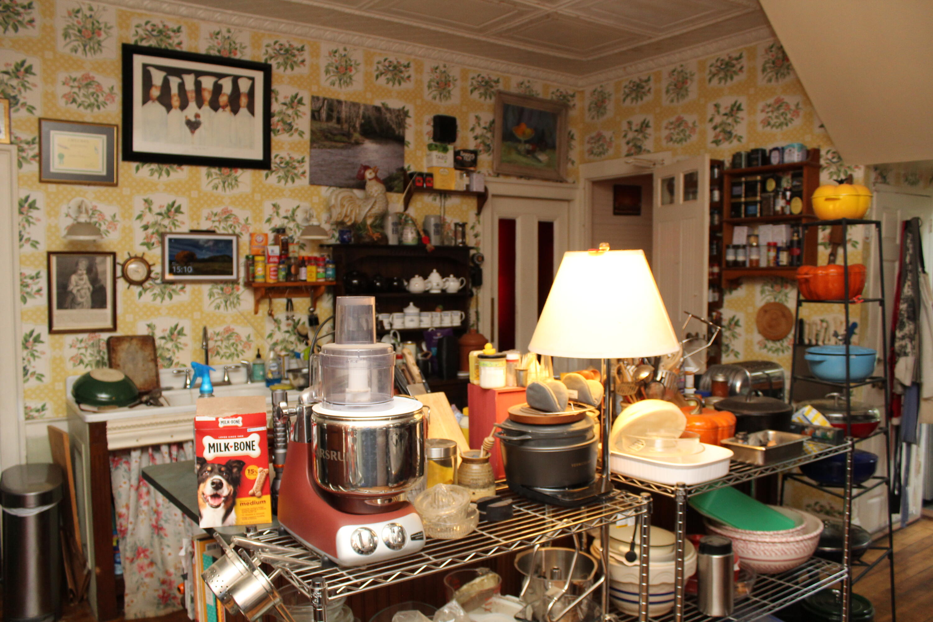 17 Boynton Street Property Photo 27