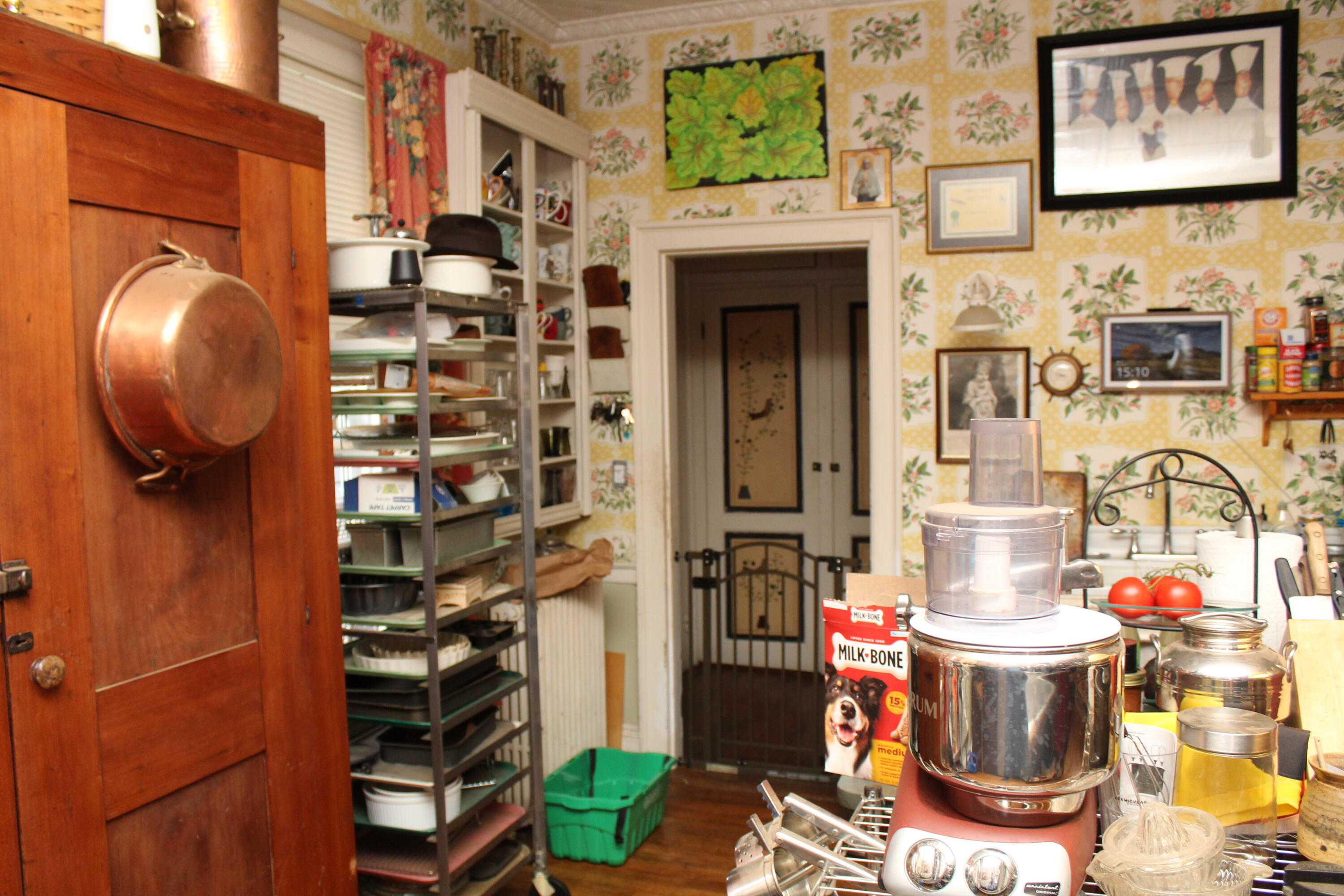 17 Boynton Street Property Photo 28