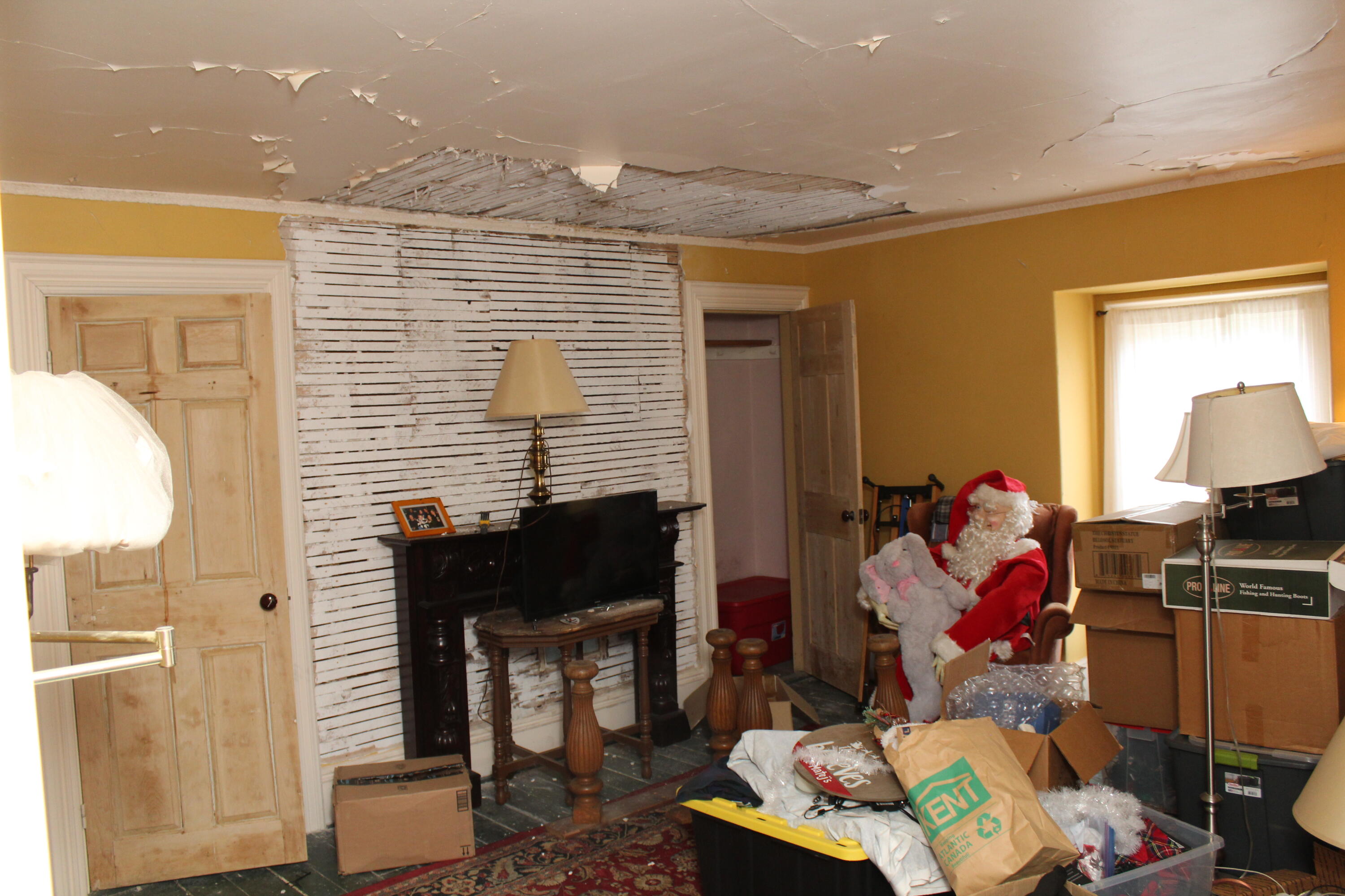 17 Boynton Street Property Photo 63