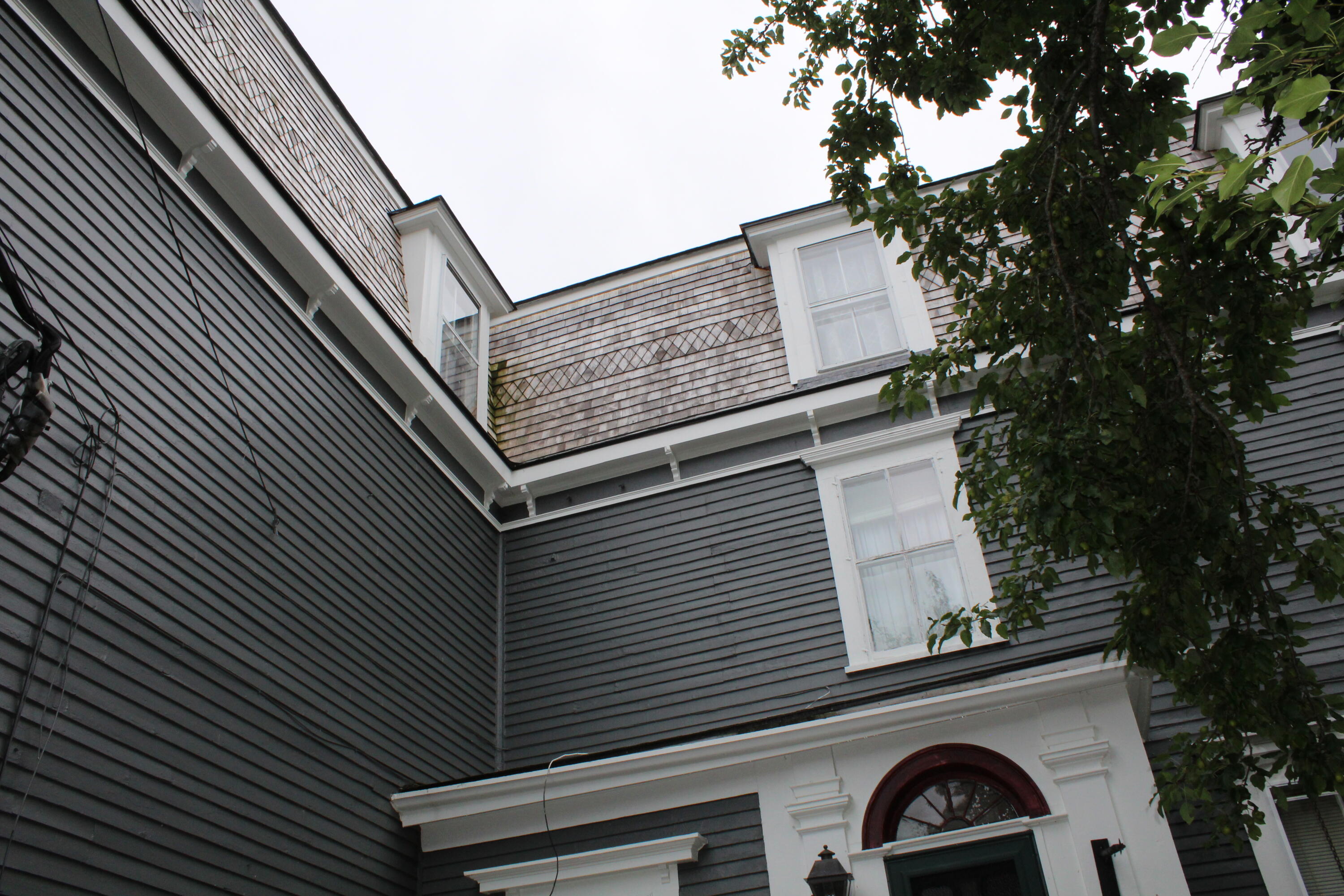 17 Boynton Street Property Photo 68