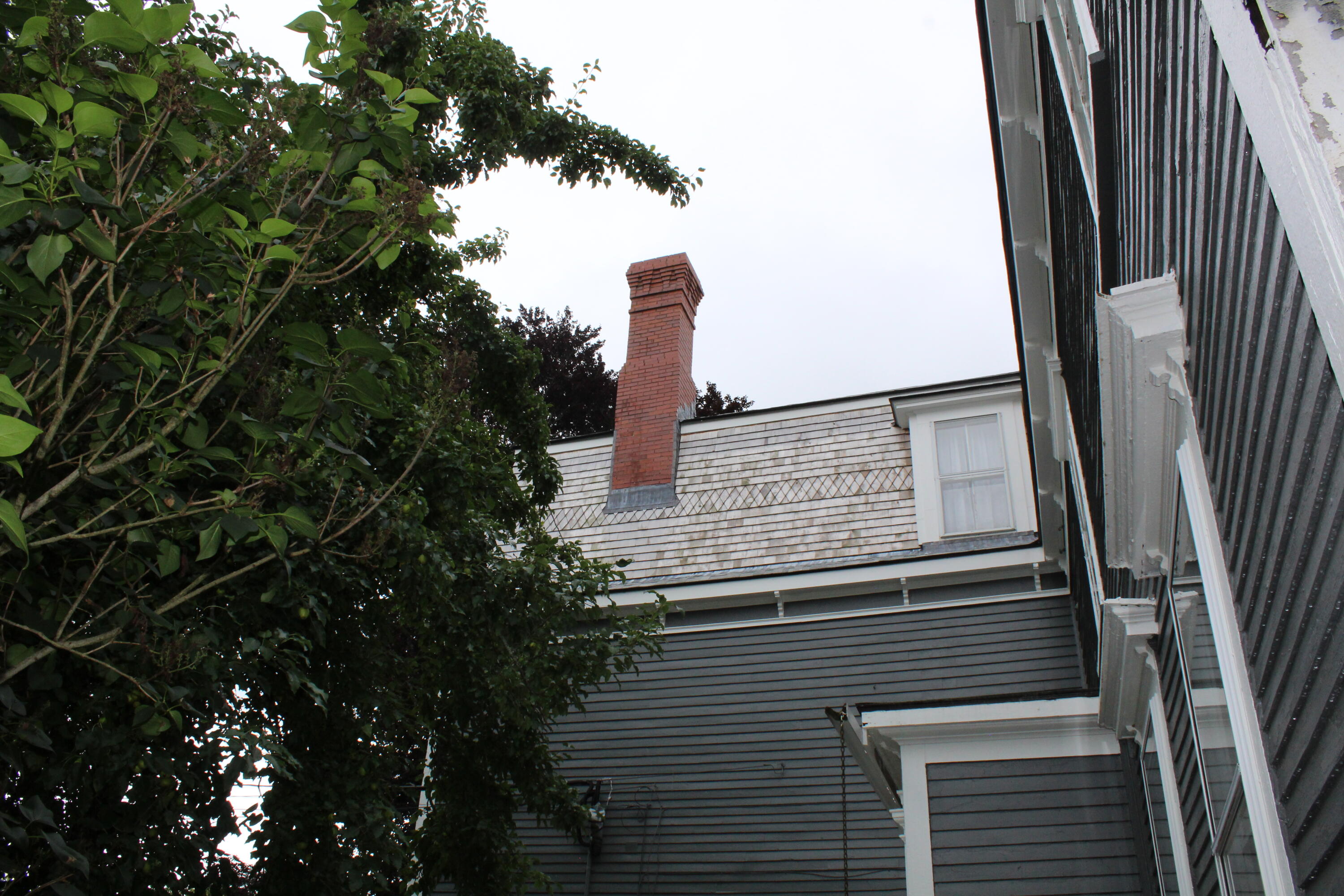 17 Boynton Street Property Photo 69