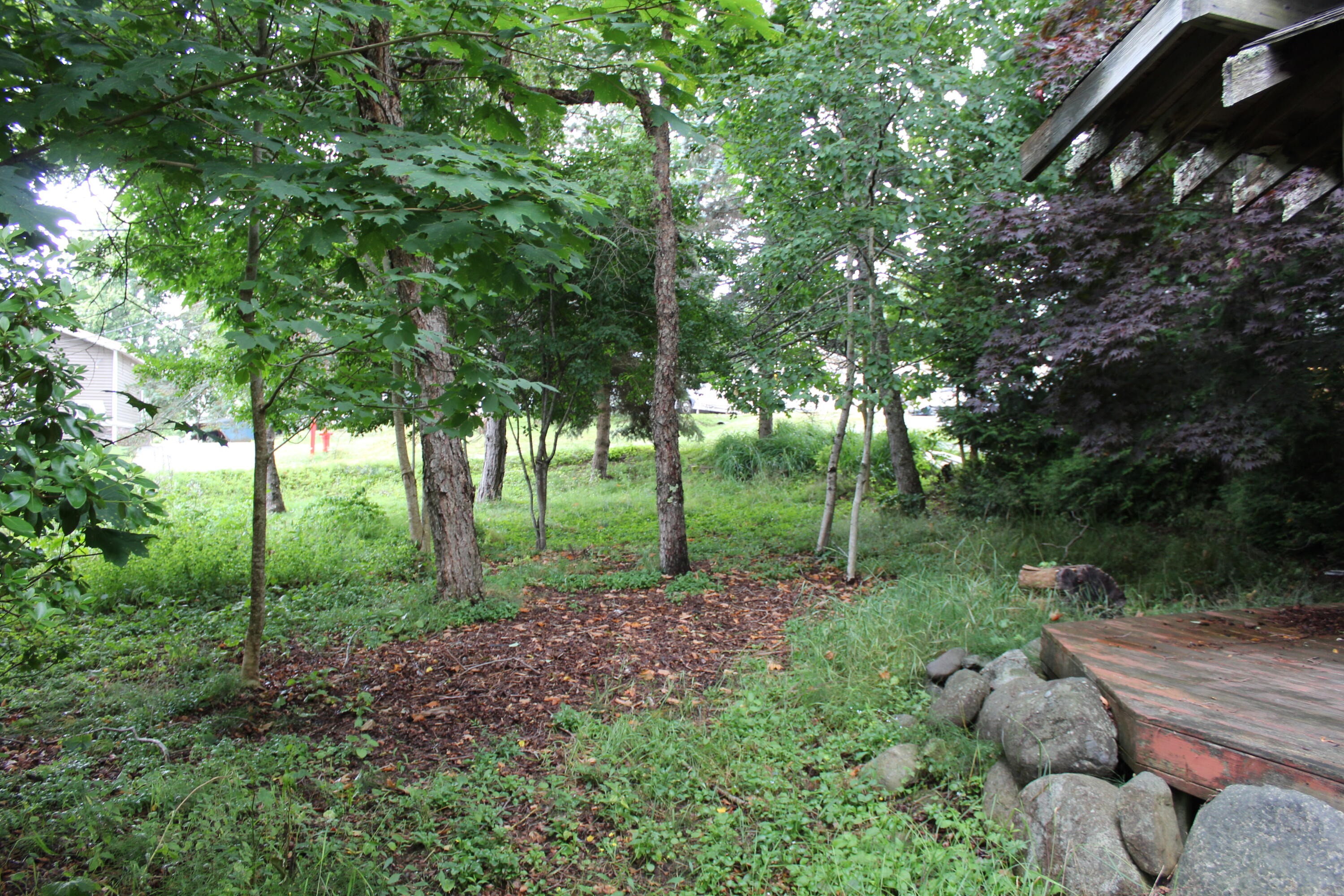 17 Boynton Street Property Photo 73