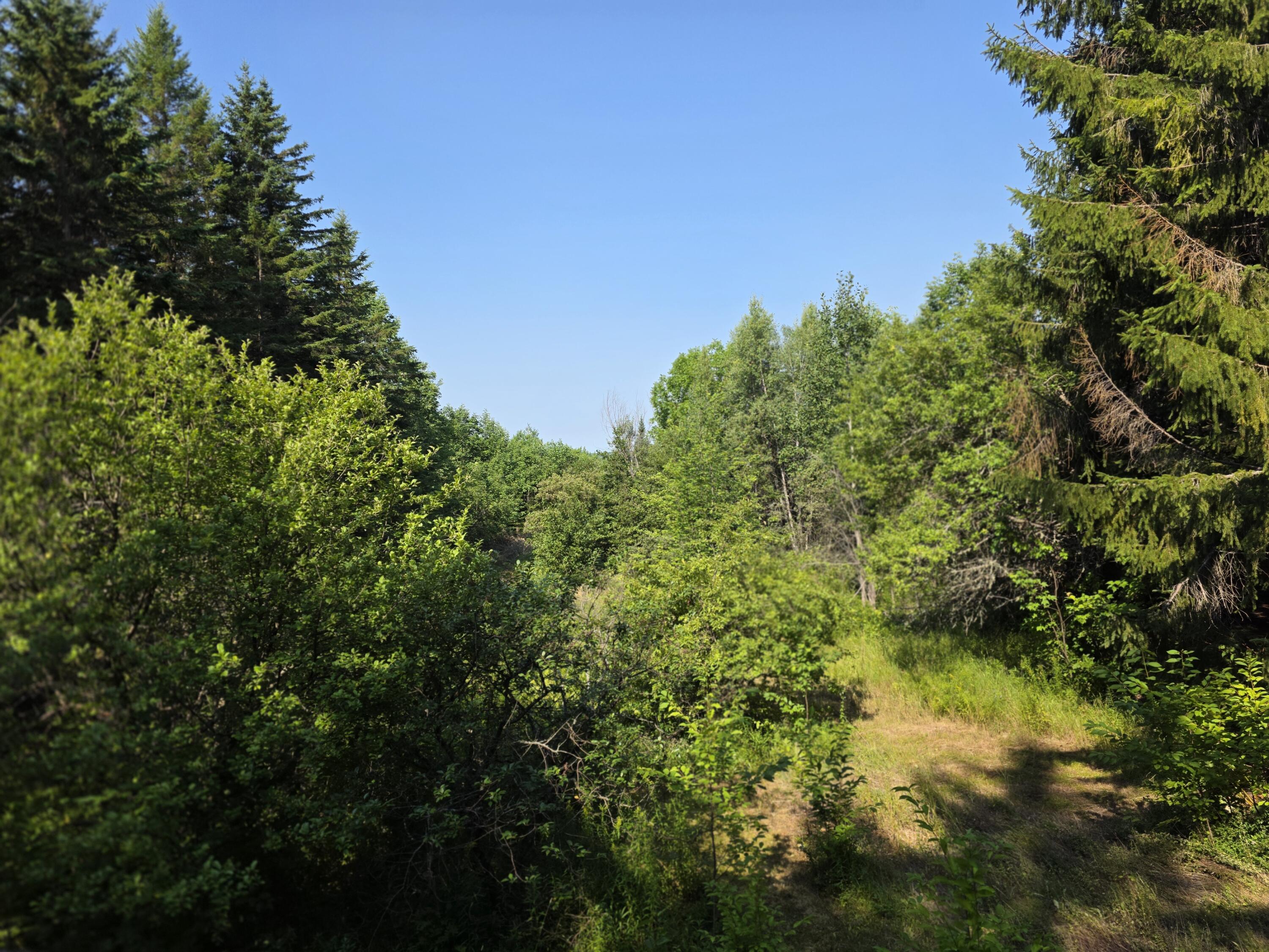 871 Estabrook Road Property Photo 4