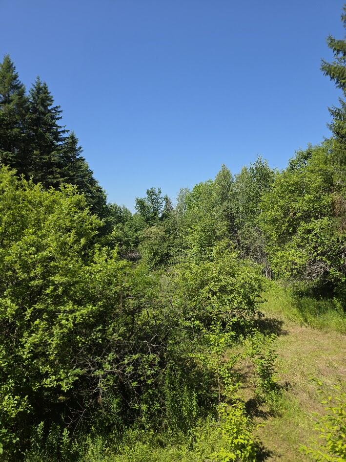 871 Estabrook Road Property Photo 5
