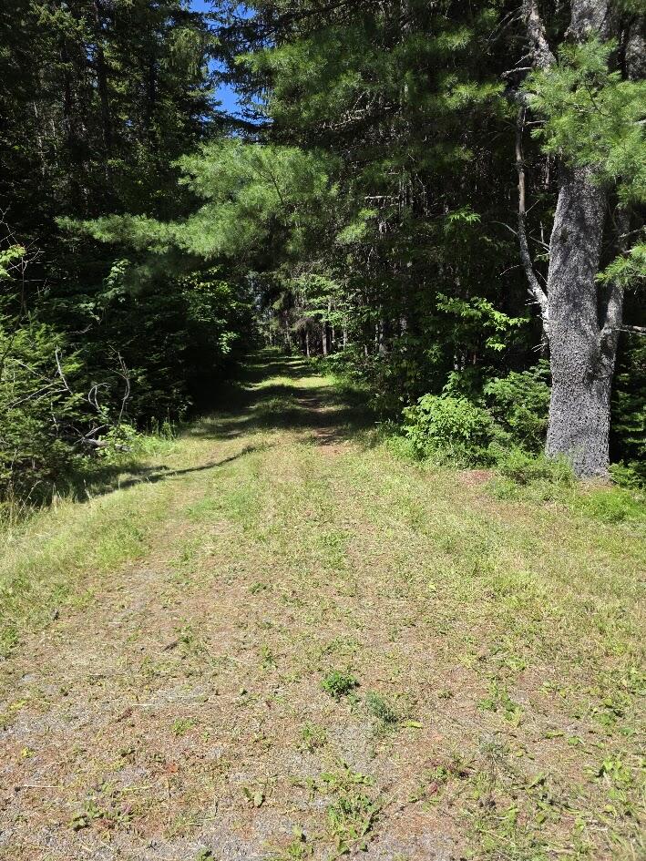 871 Estabrook Road Property Photo 17