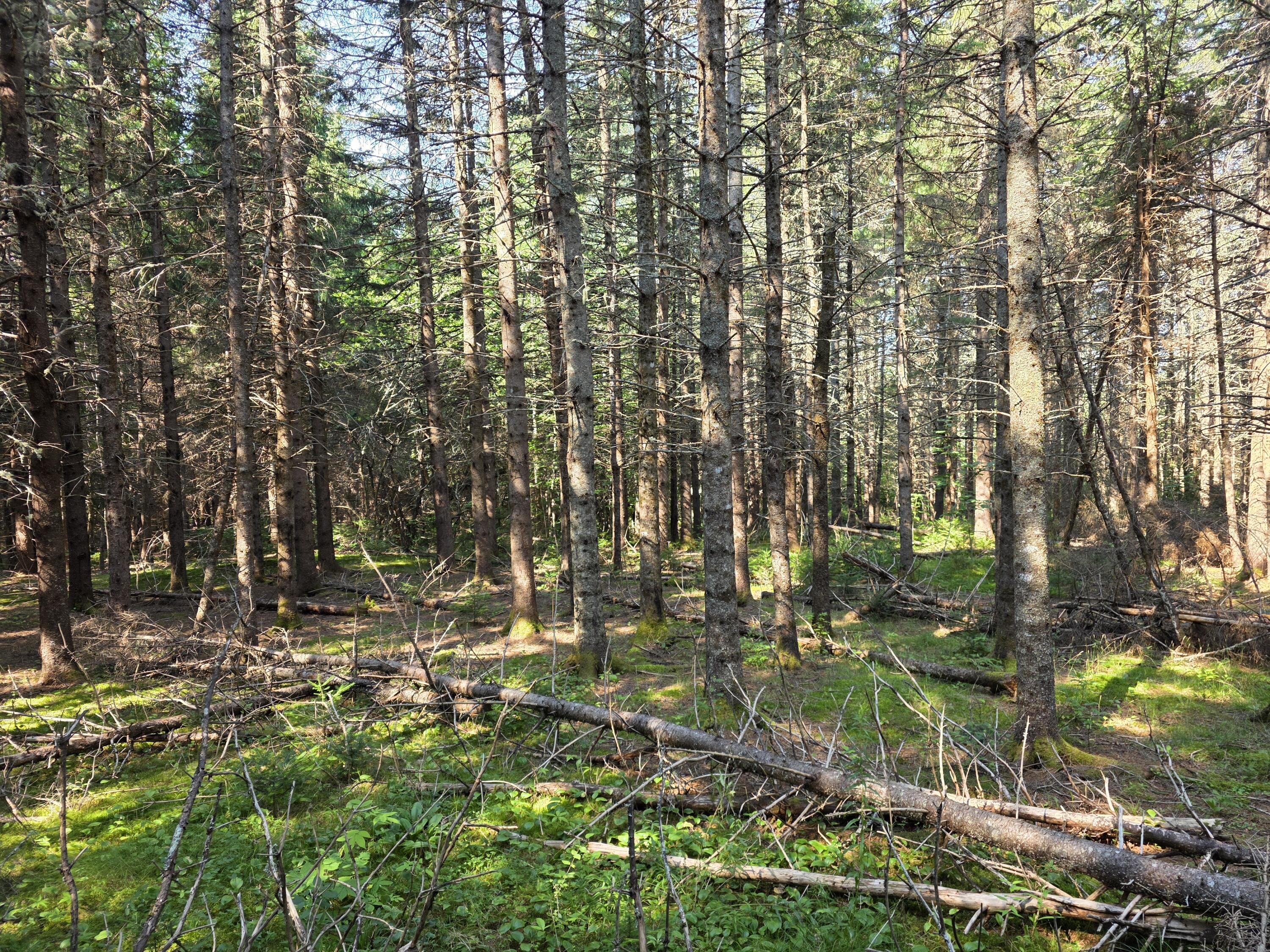 871 Estabrook Road Property Photo 39