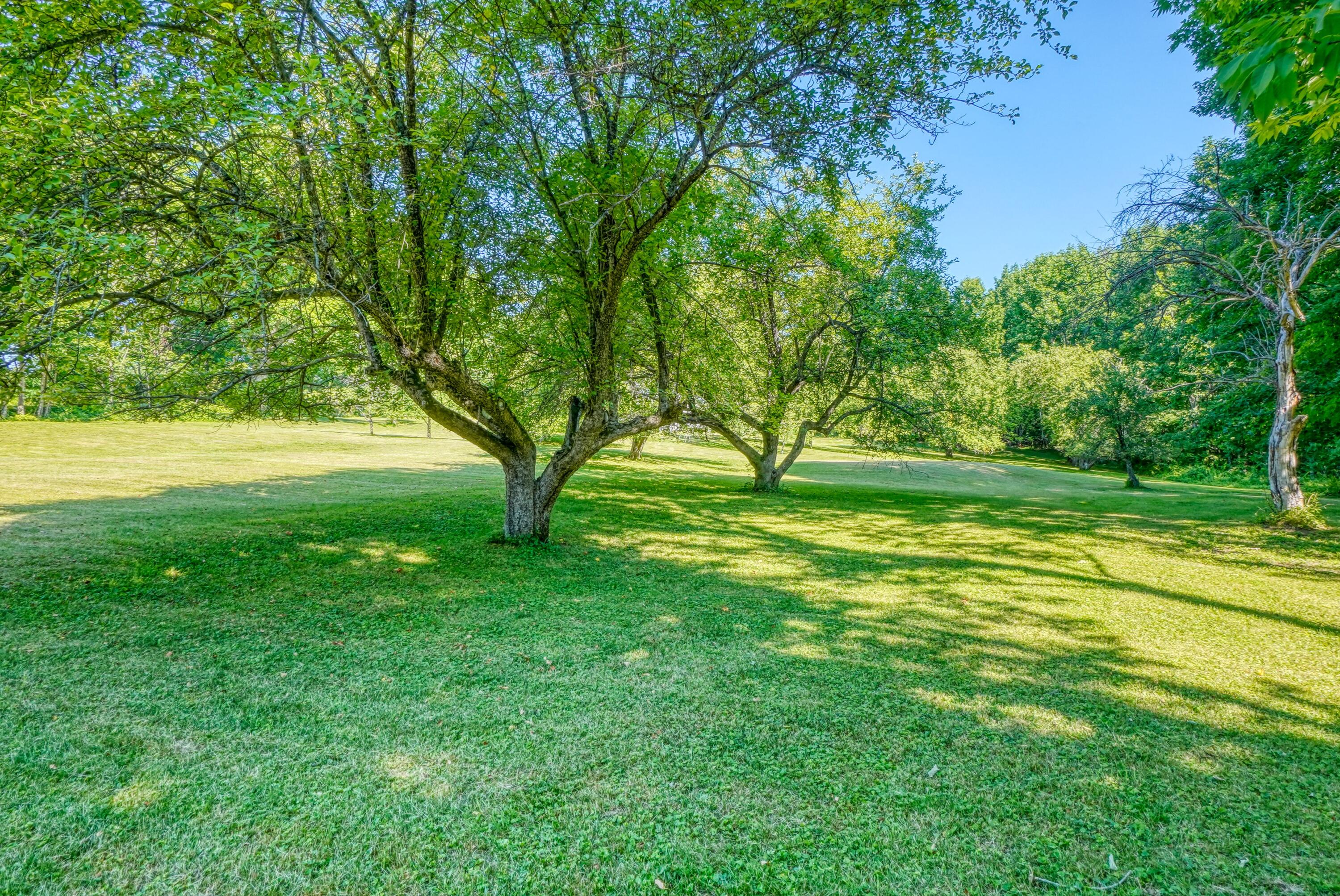 540 Taber Hill Road Property Photo 47