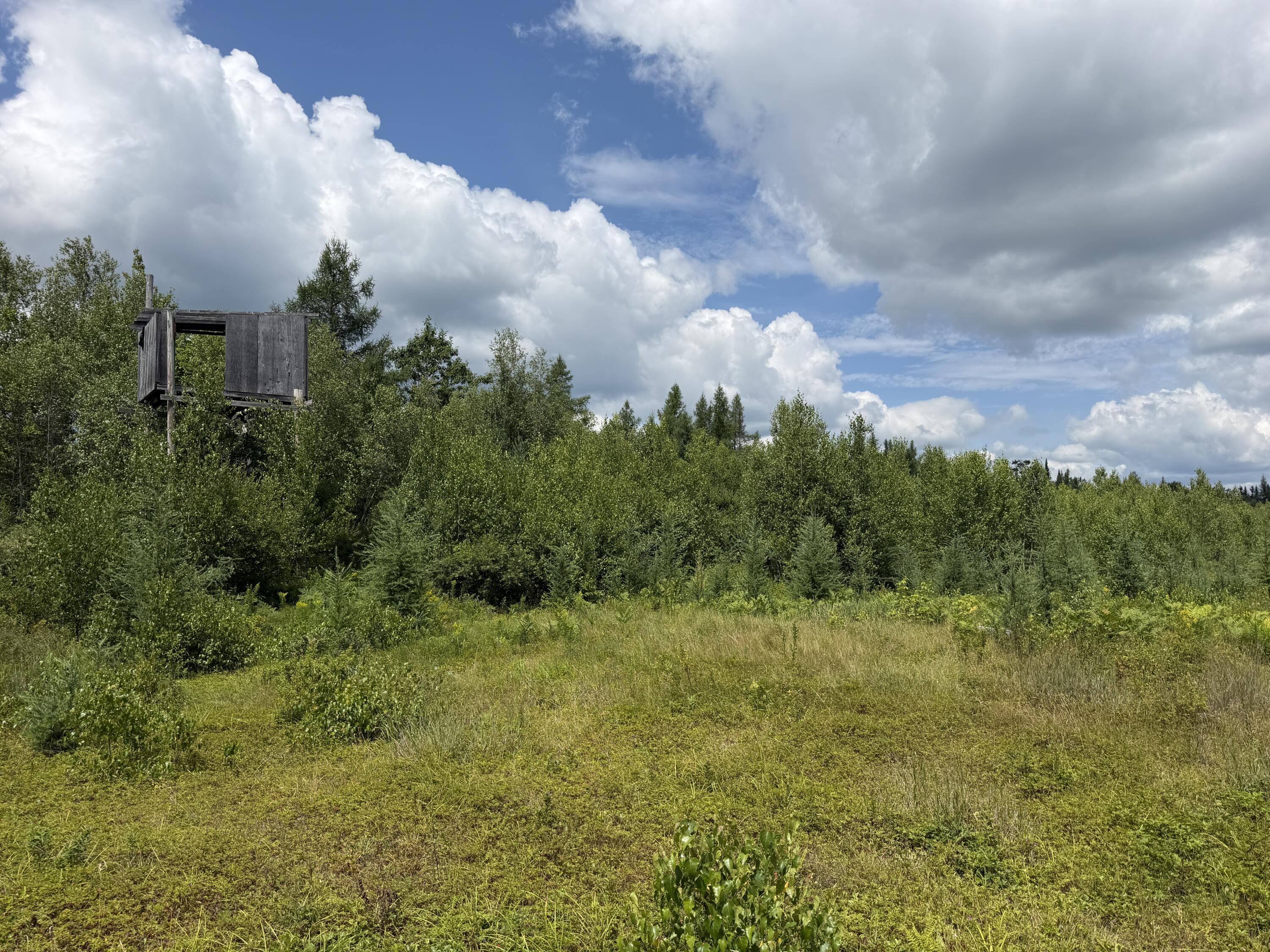 385 Johnson Flat Road Property Photo 2
