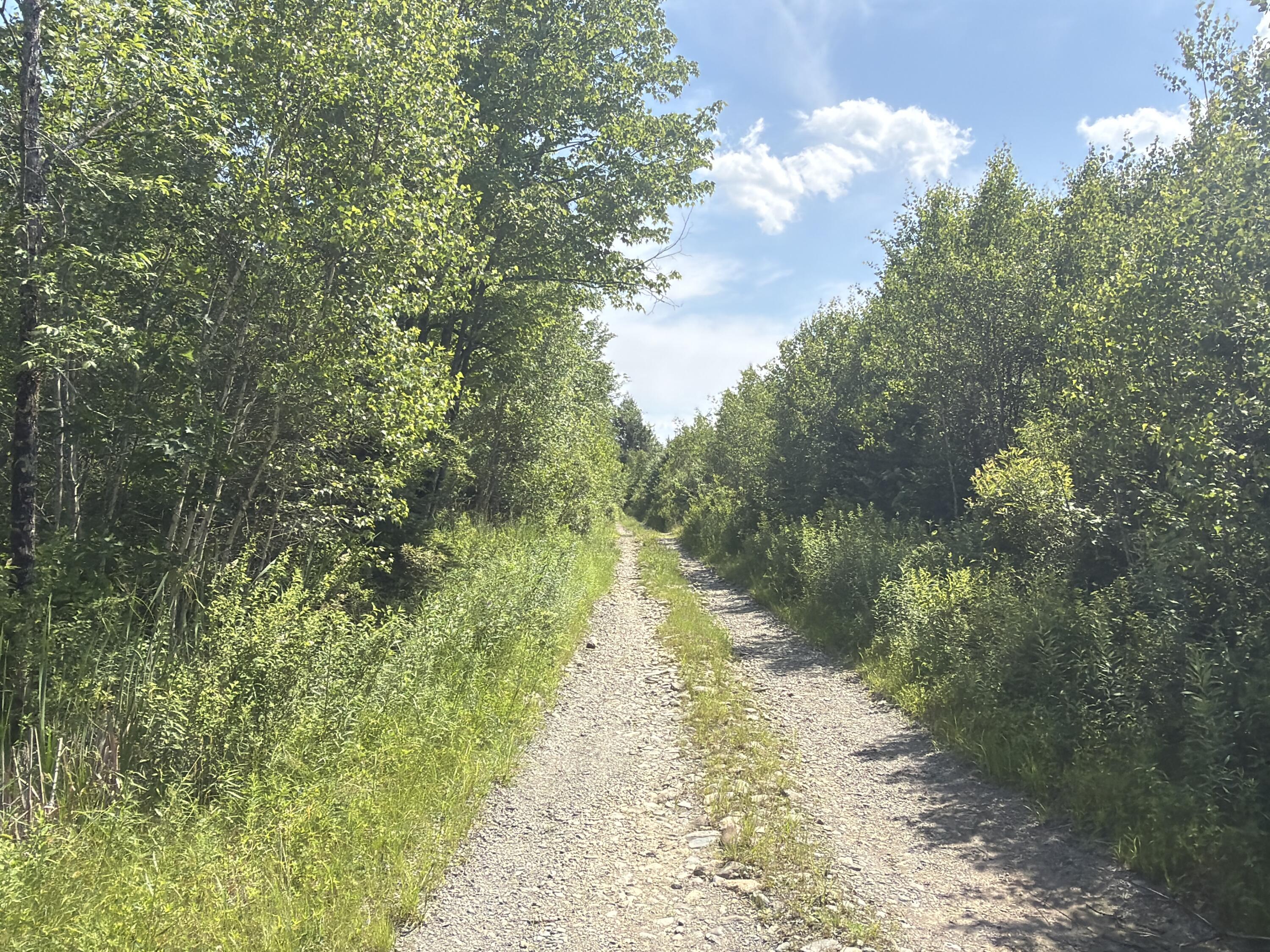 385 Johnson Flat Road Property Photo 3
