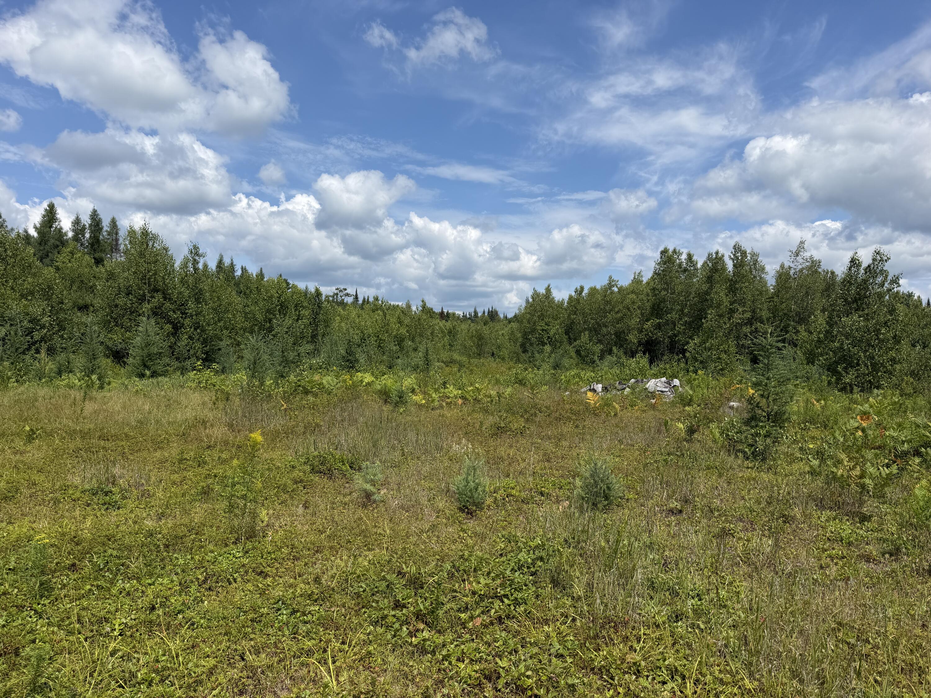 385 Johnson Flat Road Property Photo 8