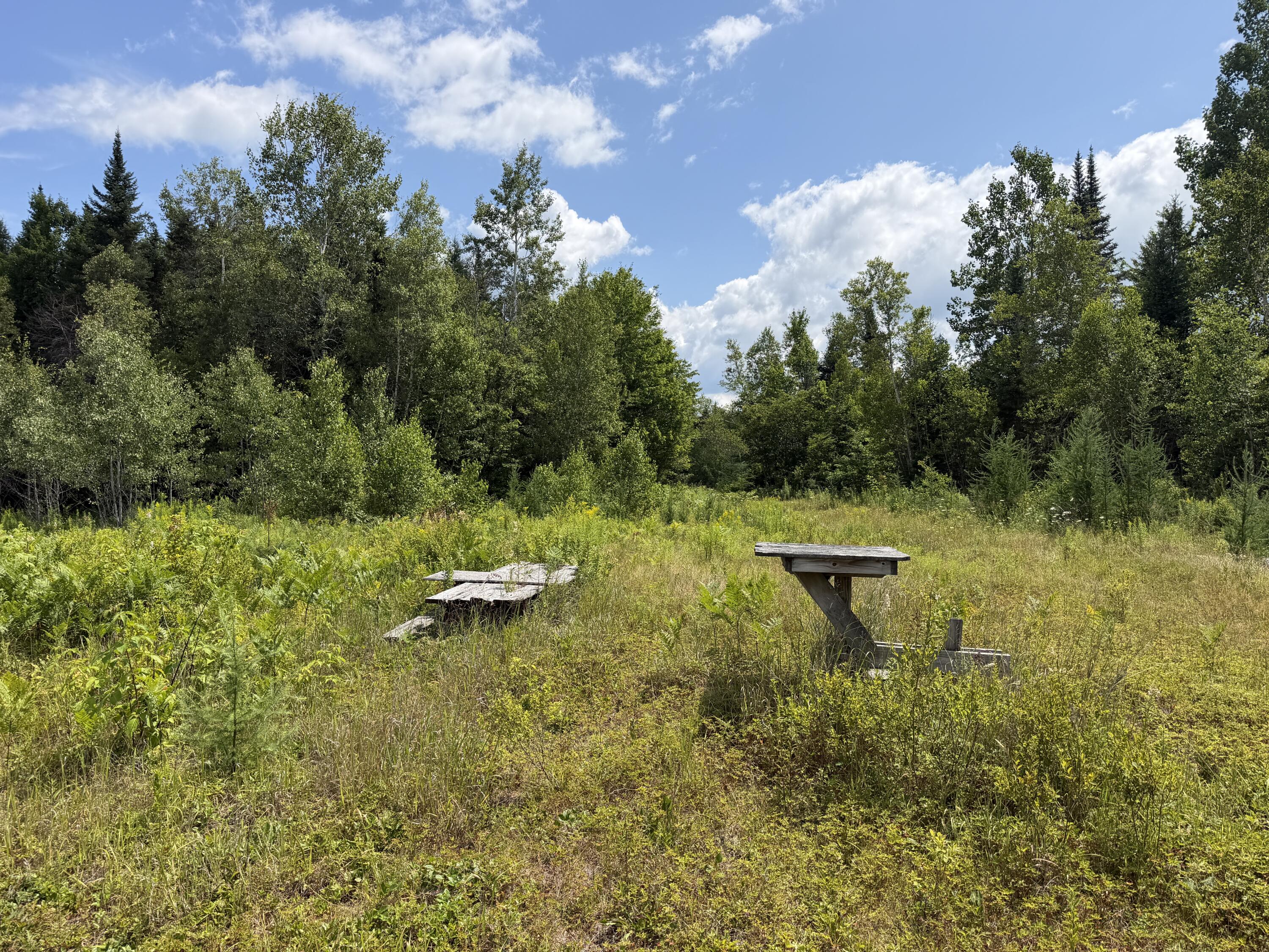 385 Johnson Flat Road Property Photo 10