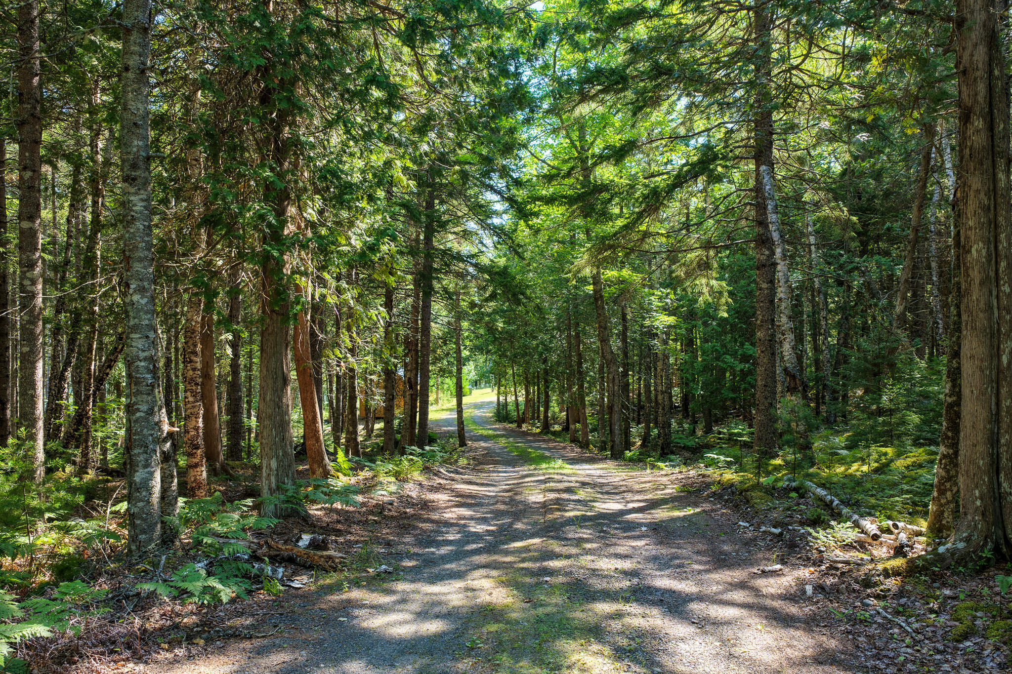 125 Coffins Neck Road Property Photo 35