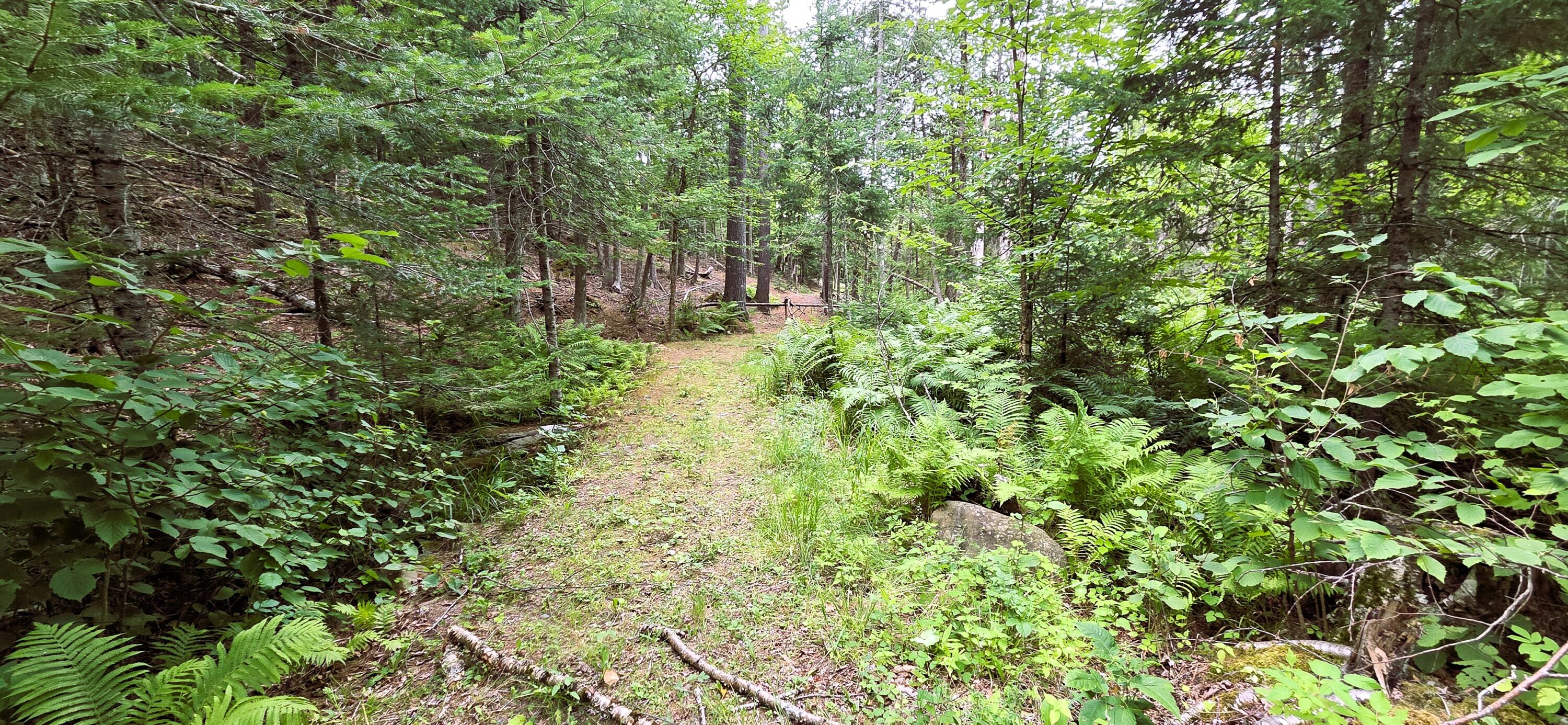 83 Brooks Pond Drive Property Photo 76