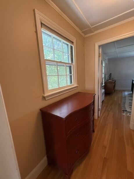 6 Taylor Avenue Property Photo 22