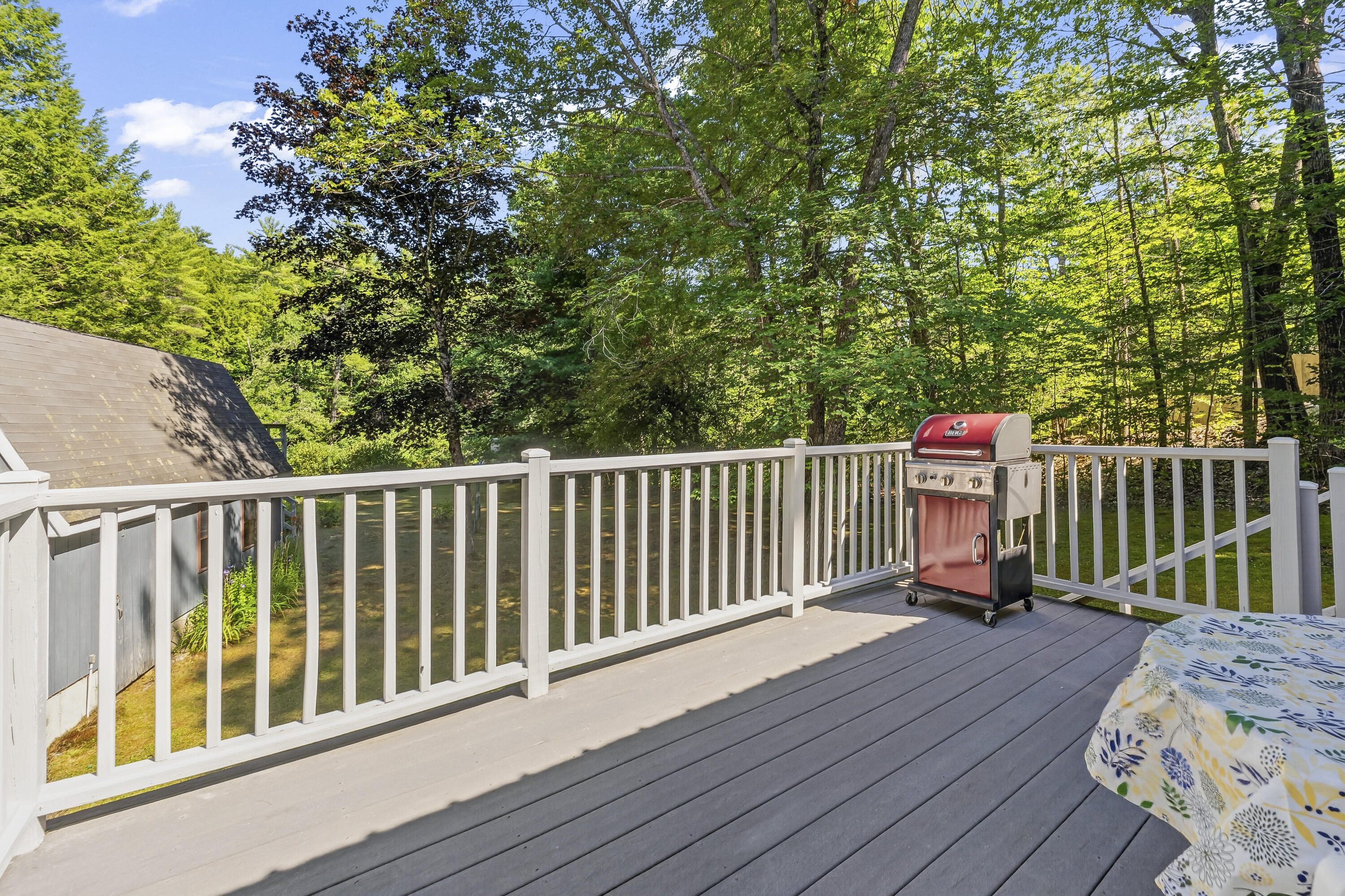 217 Heath Road Property Photo 18