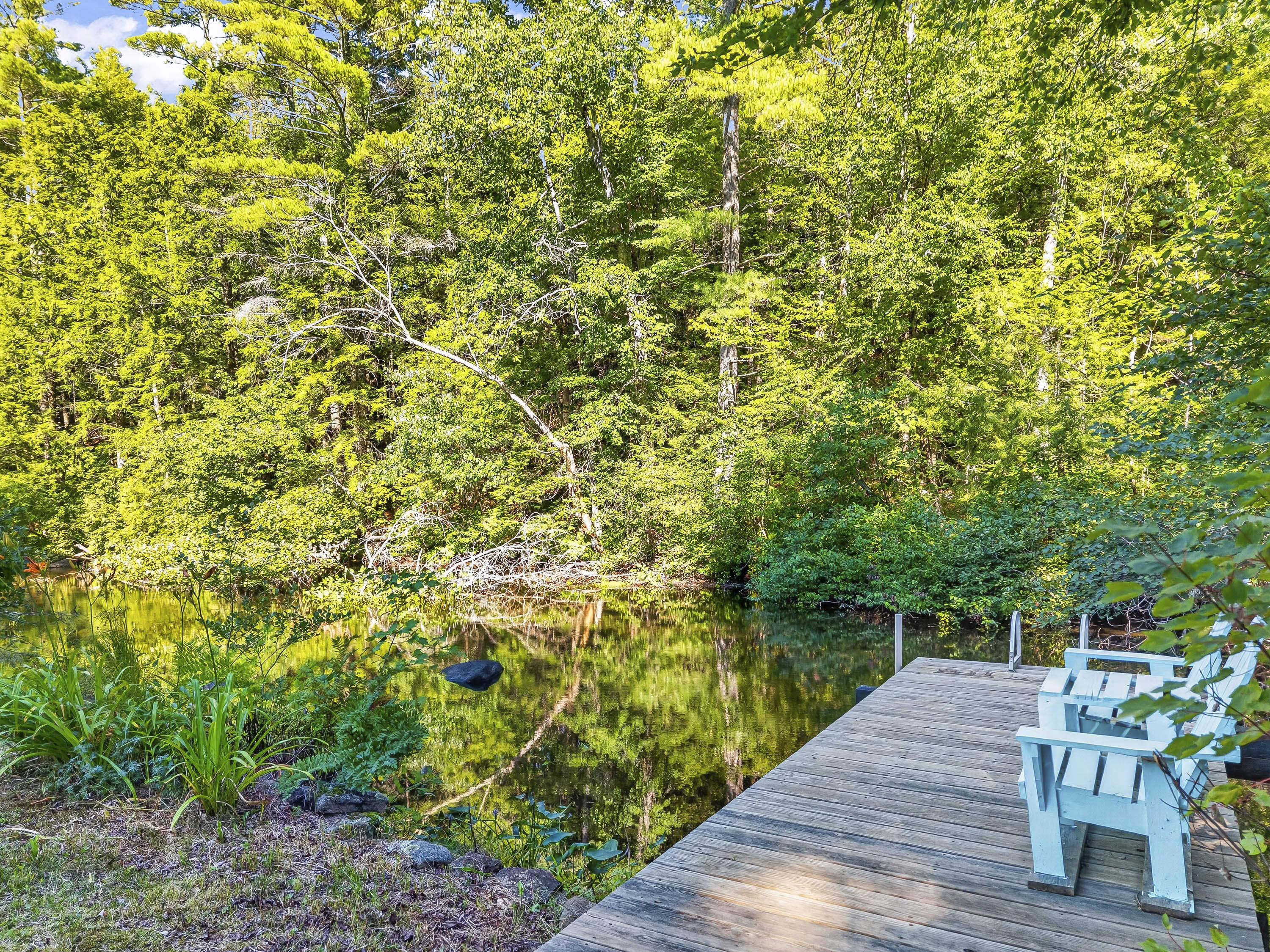 217 Heath Road Property Photo 53