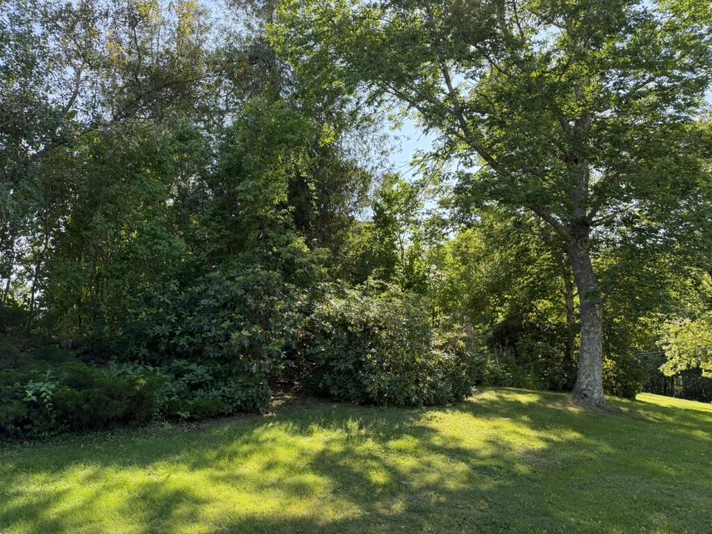 529 Bristol Road Property Photo 36