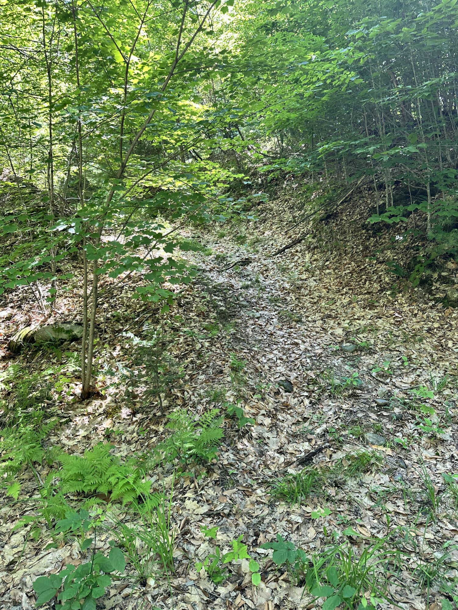 M9l140-g Wiley Road Property Photo 3