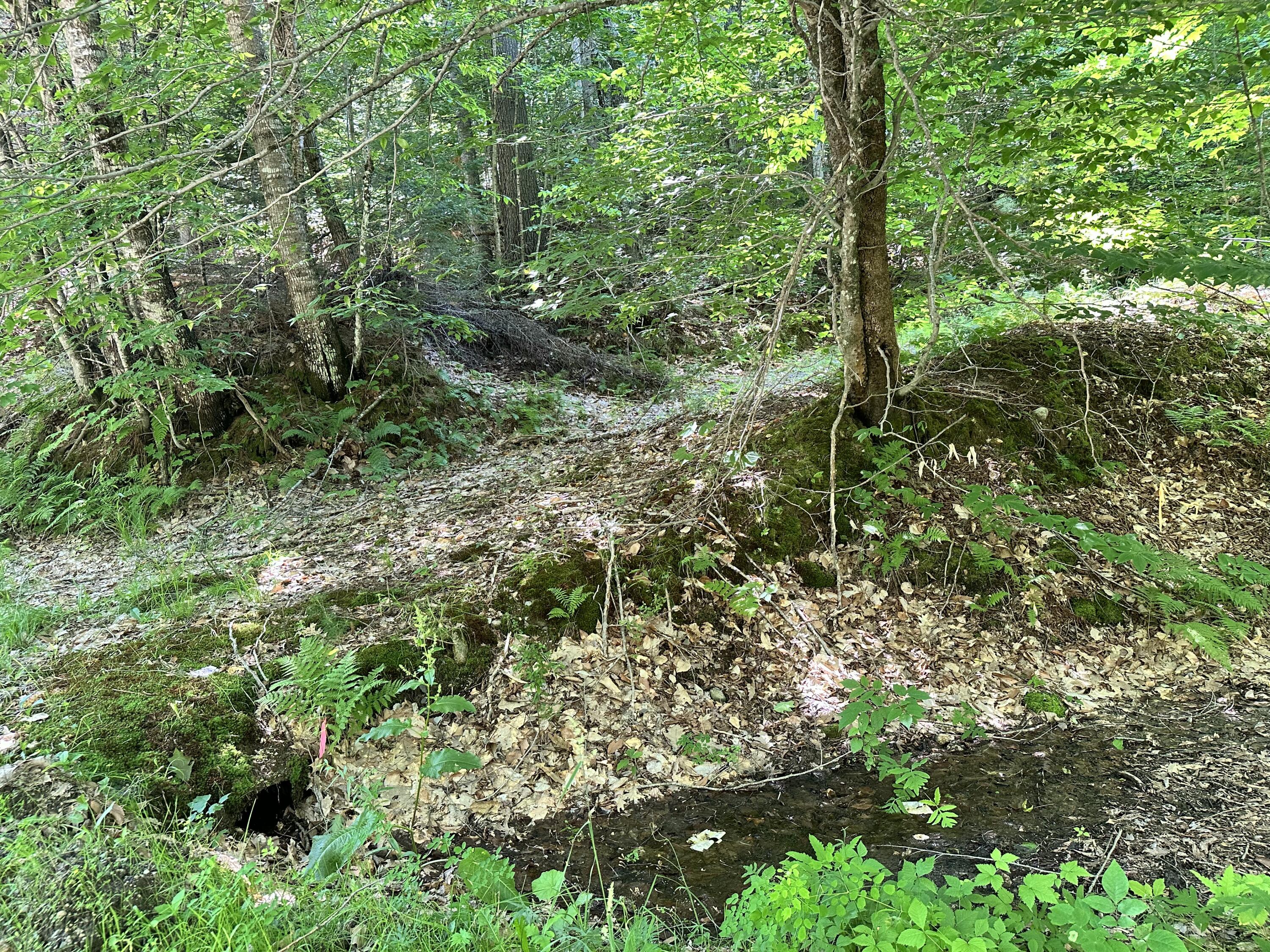 M9l140-g Wiley Road Property Photo 5