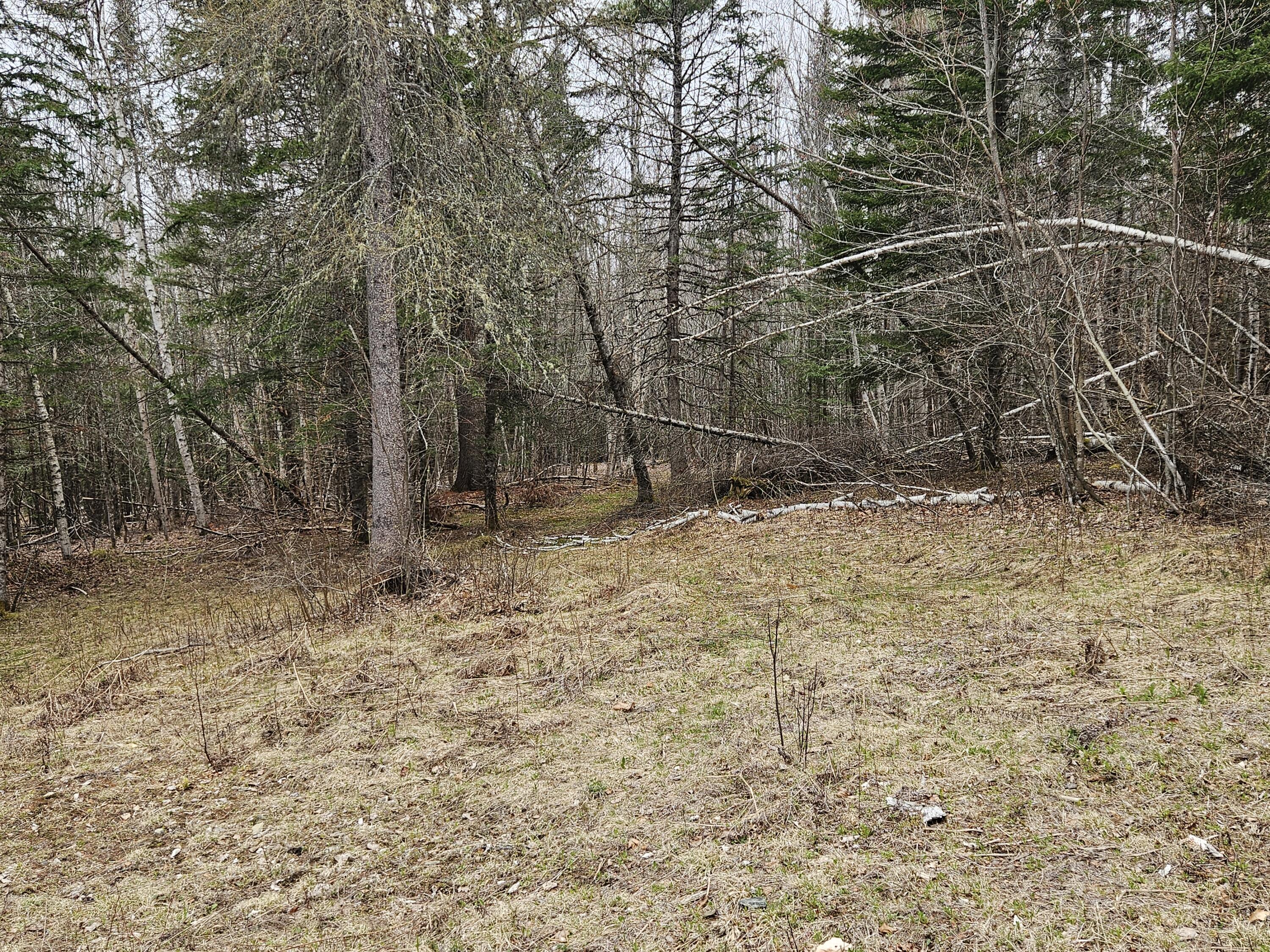 10 Hobbstown Road Property Photo 14