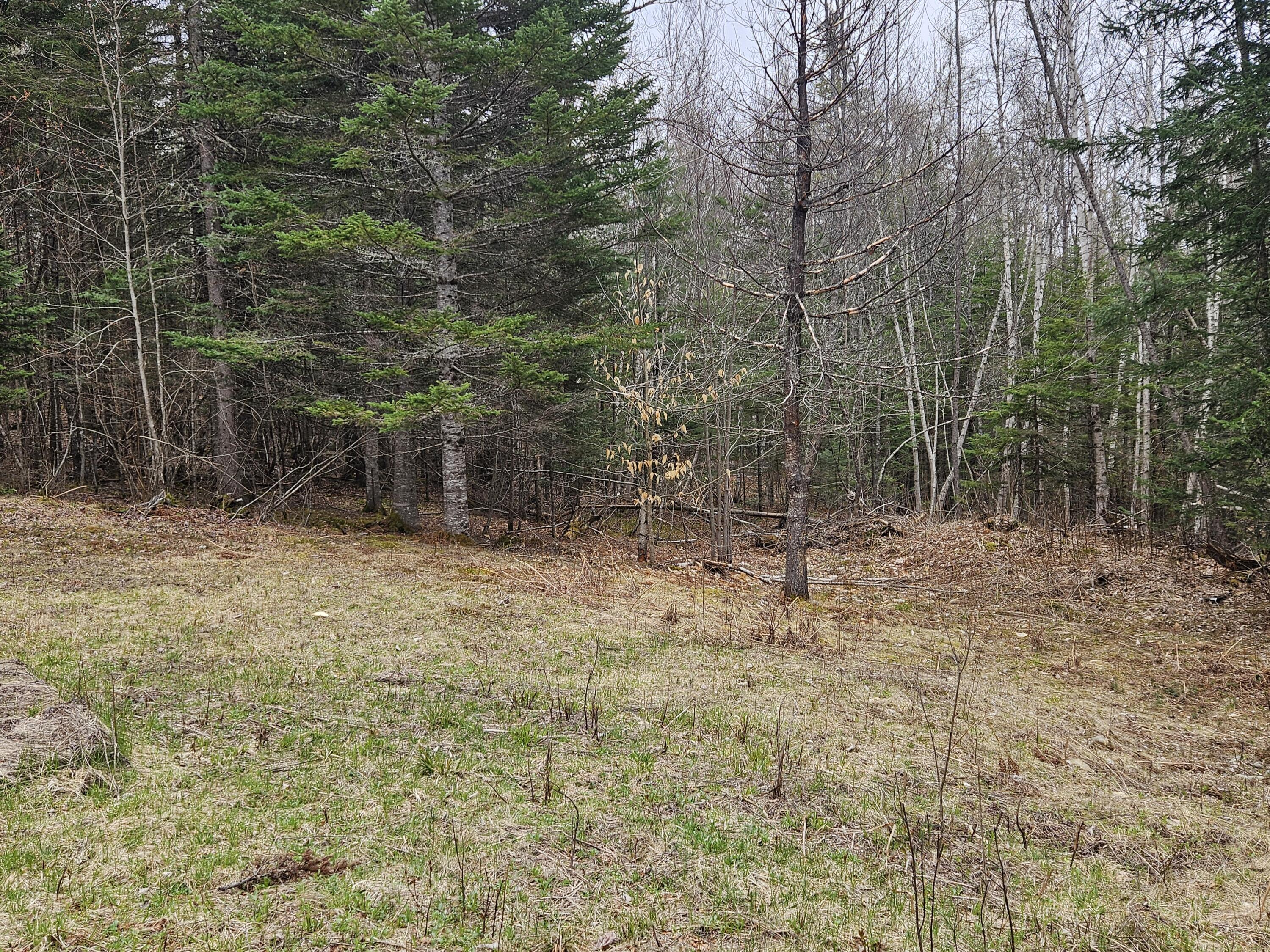 10 Hobbstown Road Property Photo 16