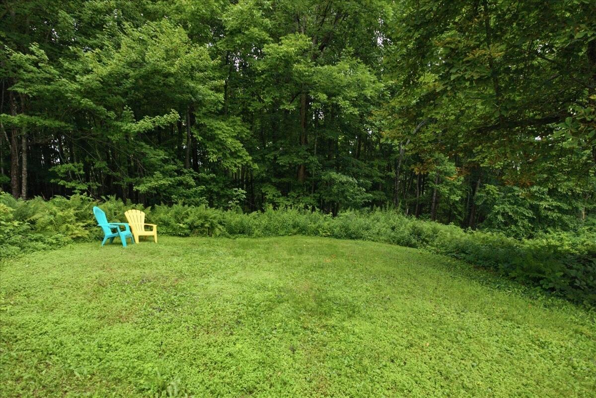 1135 Manchester Road Property Photo 95
