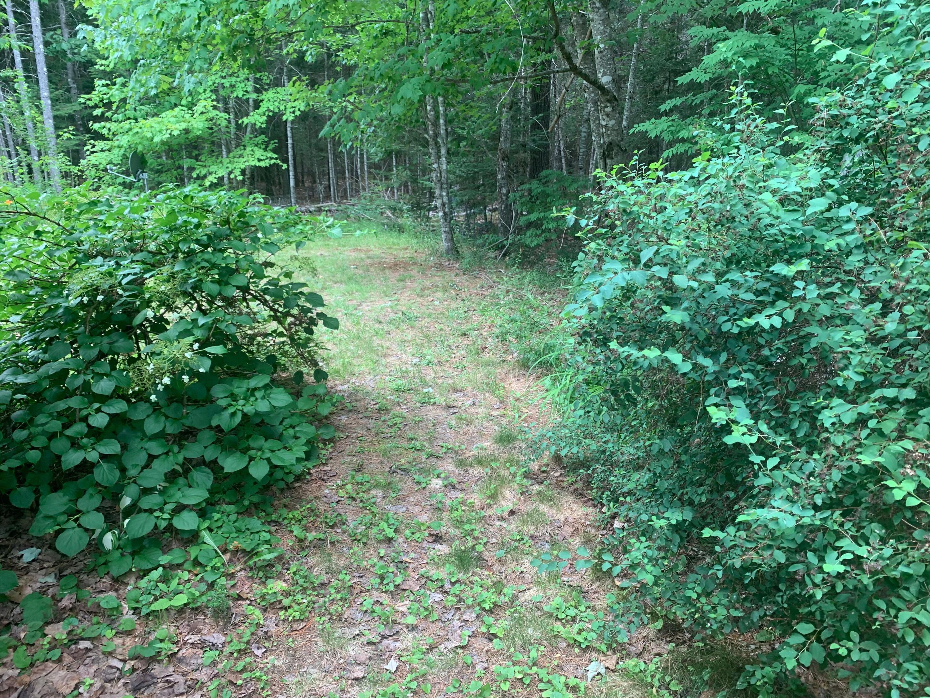 145 Lakeview Lane Property Photo 5
