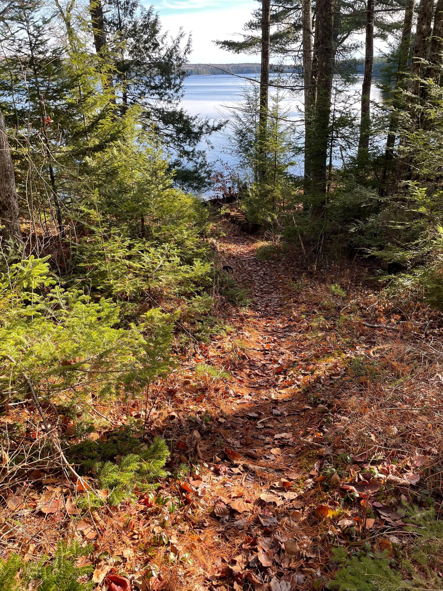 145 Lakeview Lane Property Photo 33