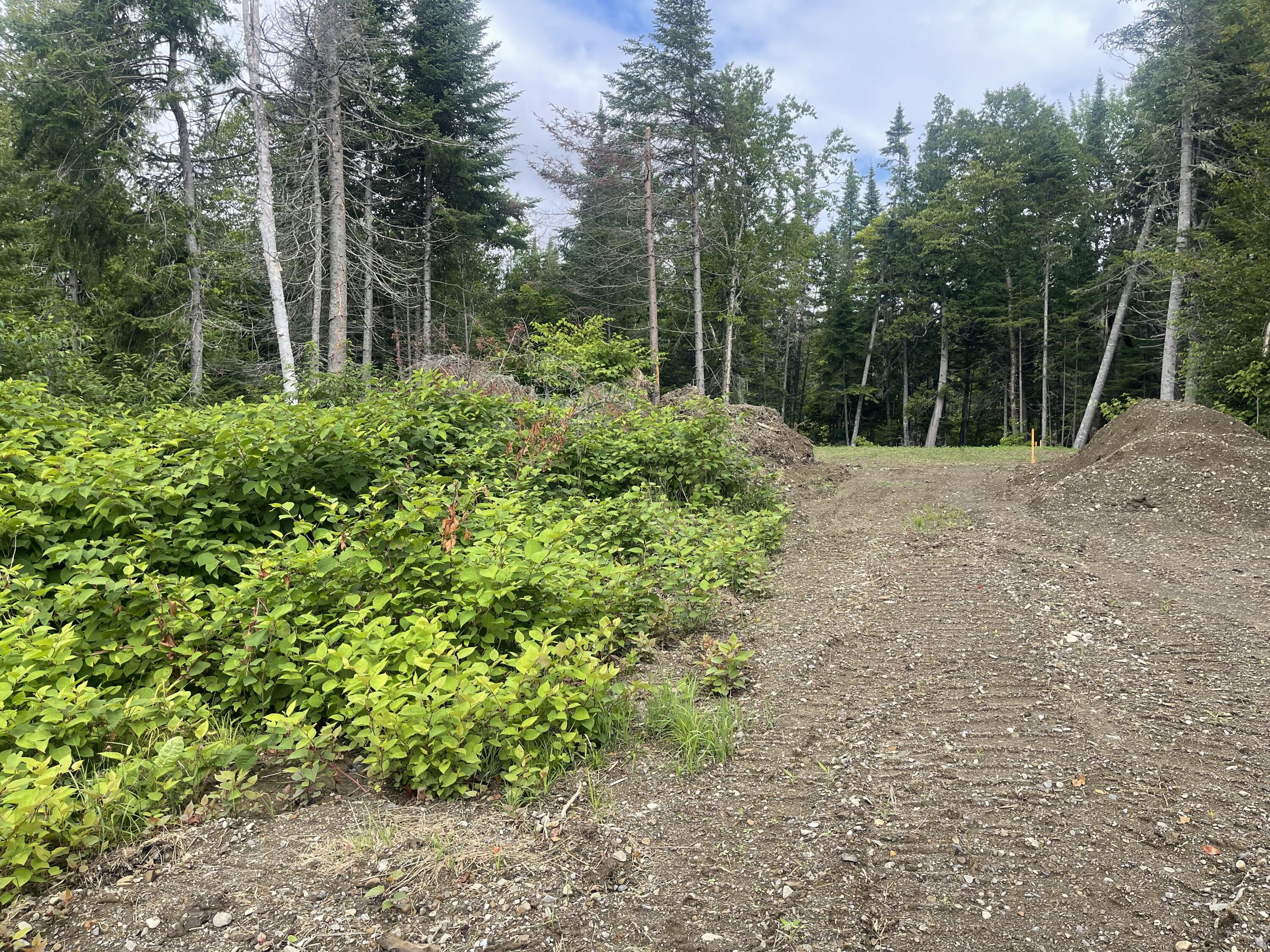 Lot 34 Lake Shore Drive Property Photo 5