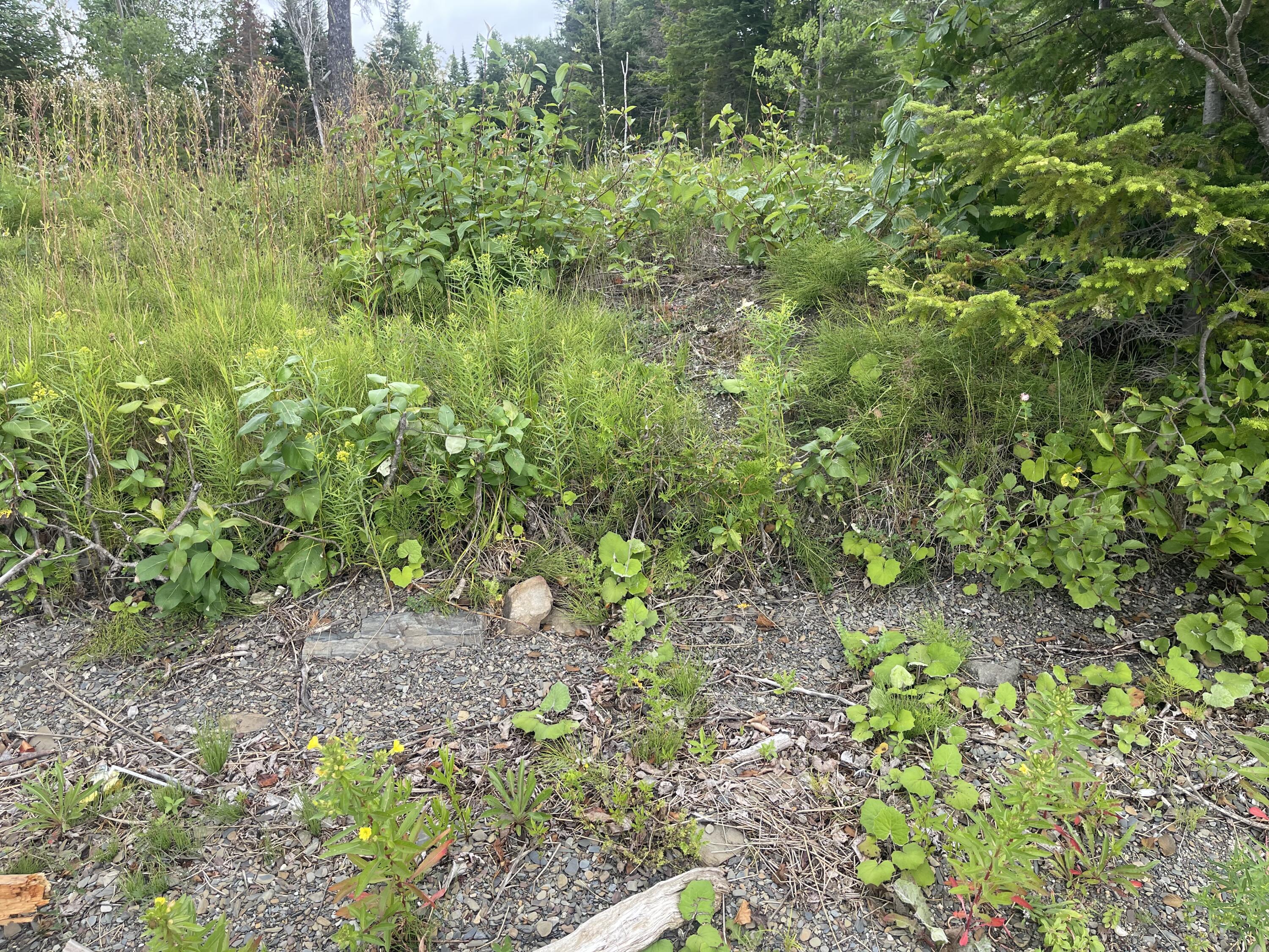Lot 34 Lake Shore Drive Property Photo 7