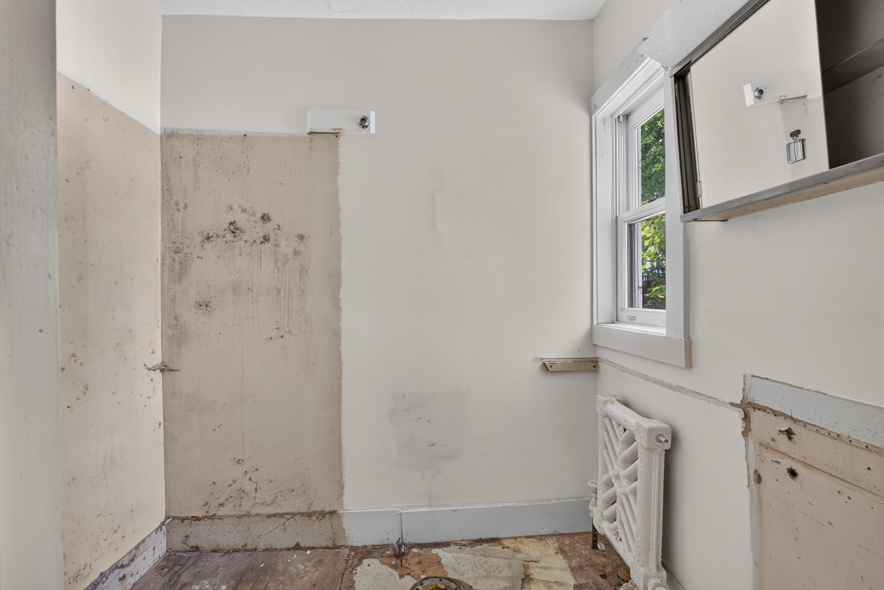 6 Amherst Street Property Photo 24