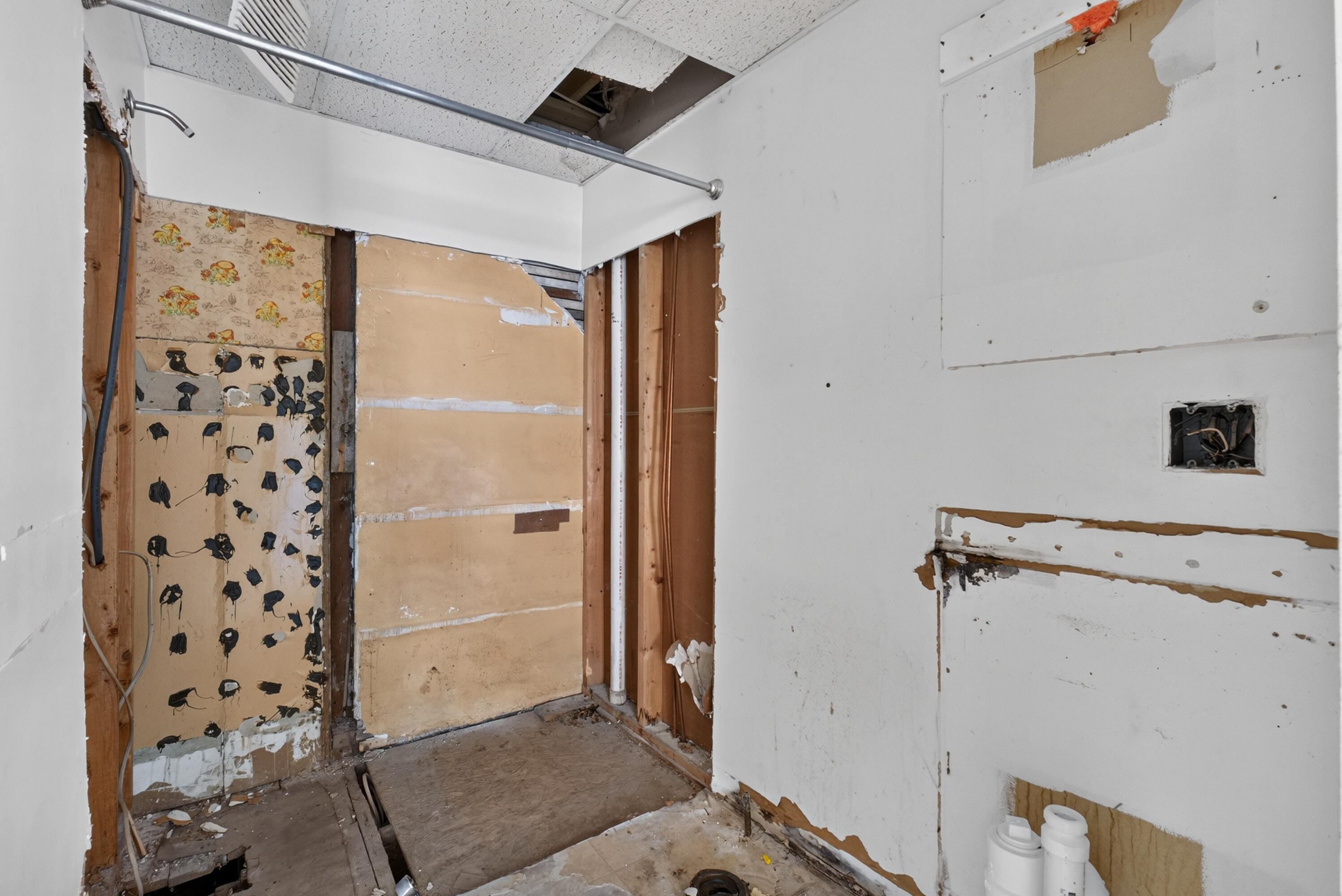 6 Amherst Street Property Photo 15