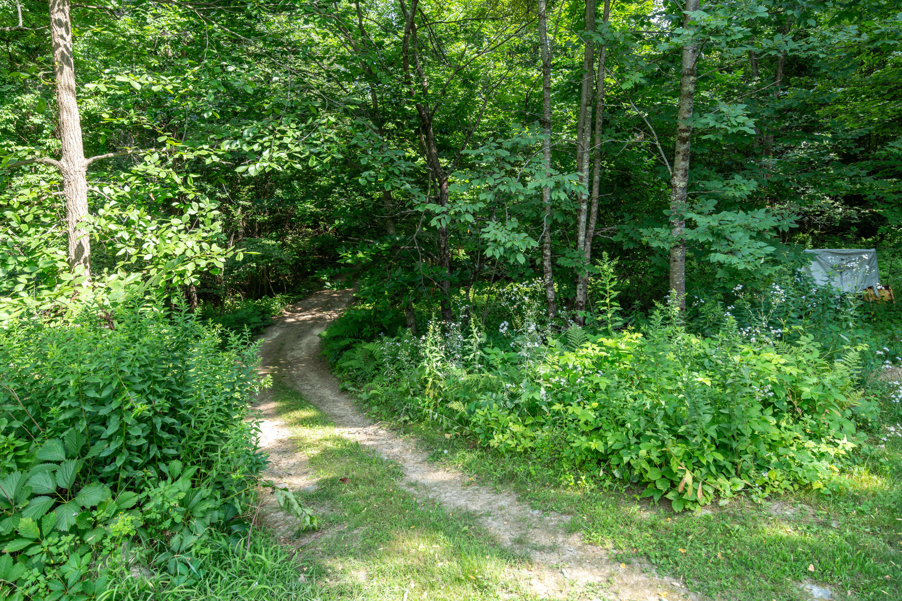 148 Lake House Road Property Photo 45