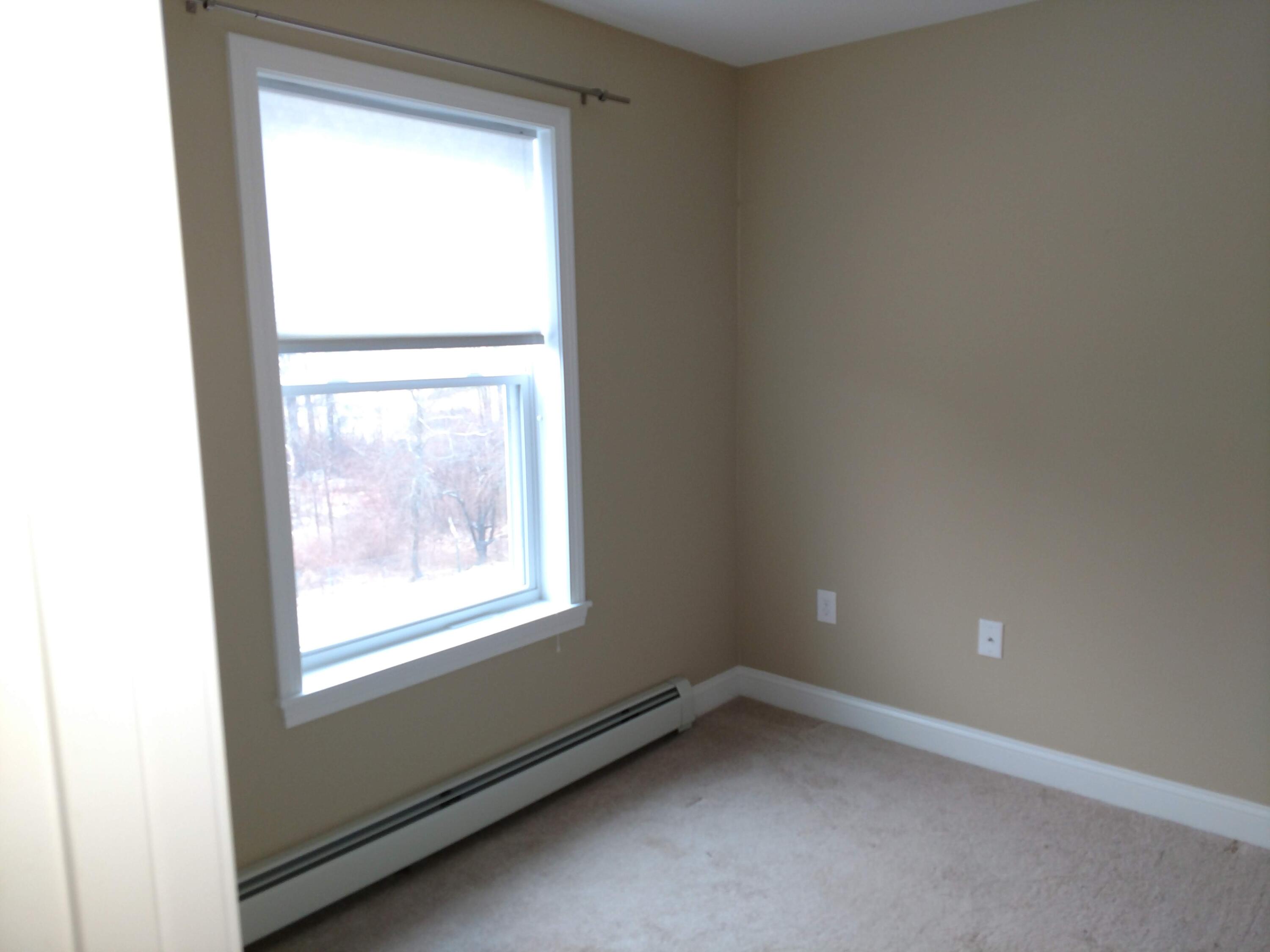 21 Buds Trail Property Photo 10