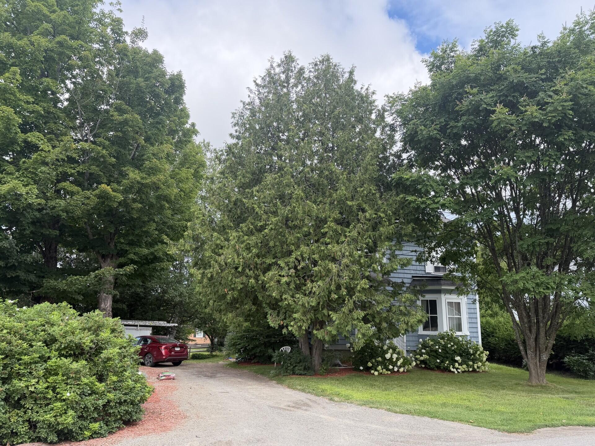 30 Bowdoin Street Property Photo 27